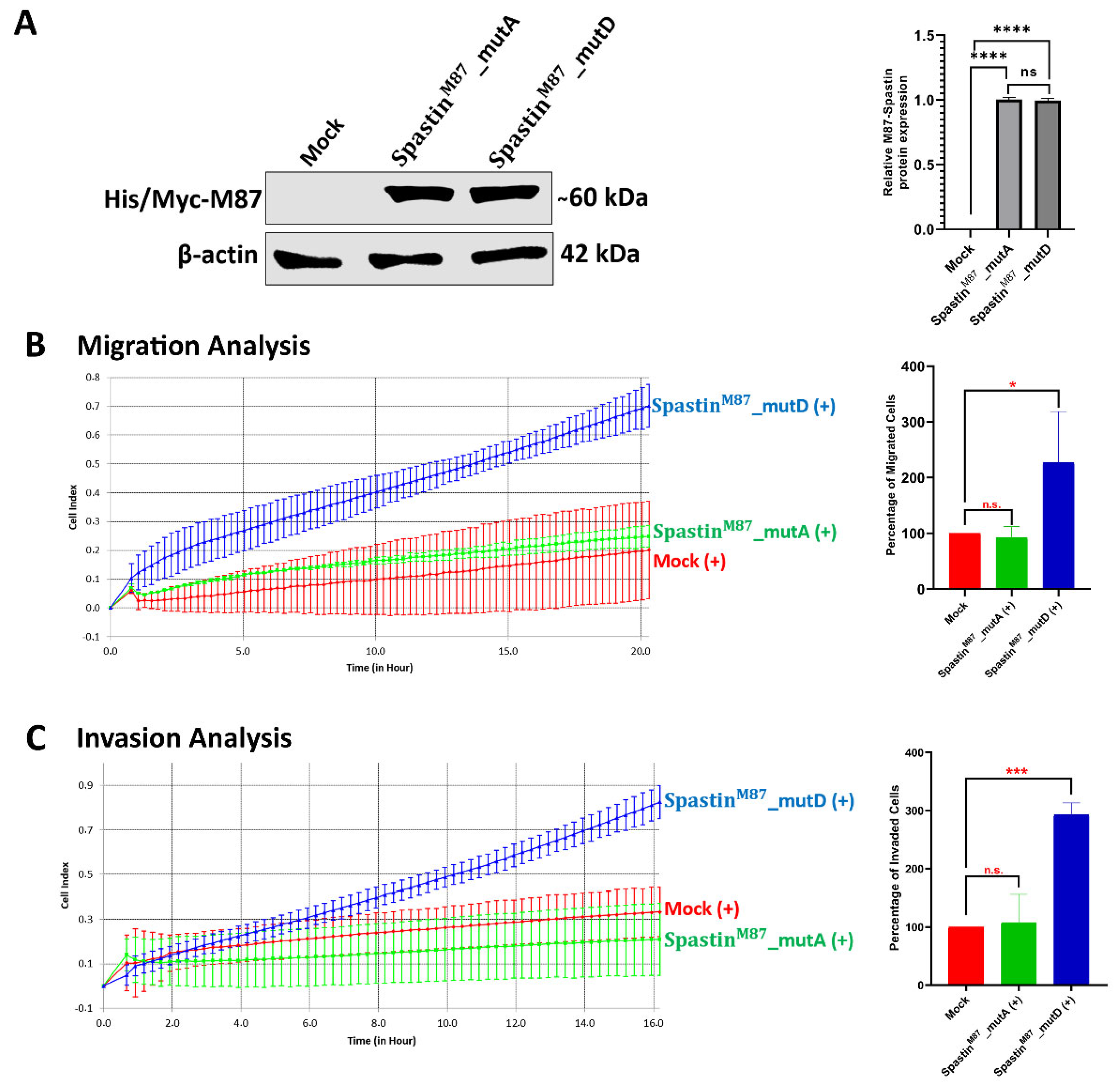 Cells 12 00427 g009 Cells 12 00427 g009