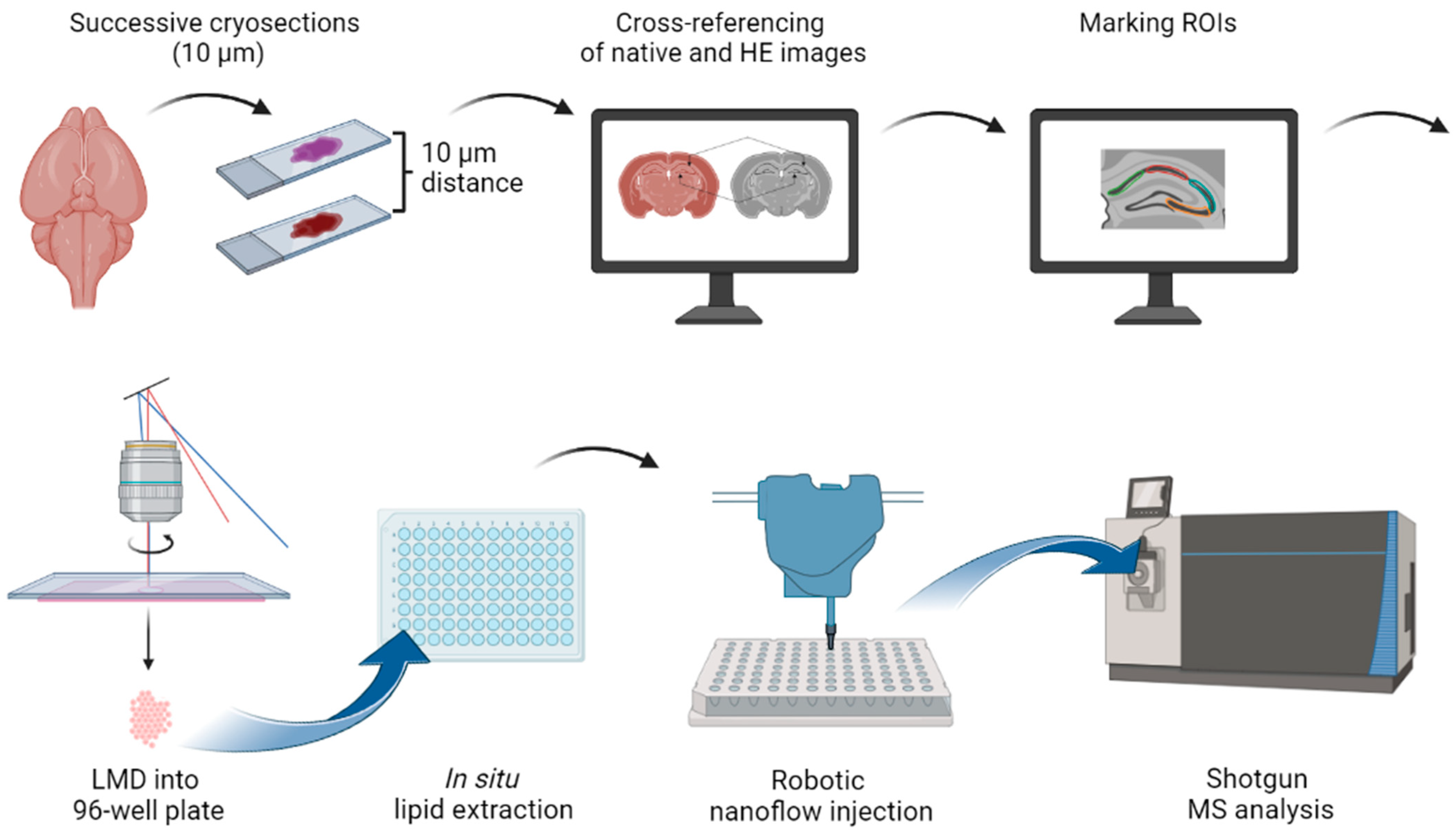 Cells 12 00428 g001 Cells 12 00428 g001