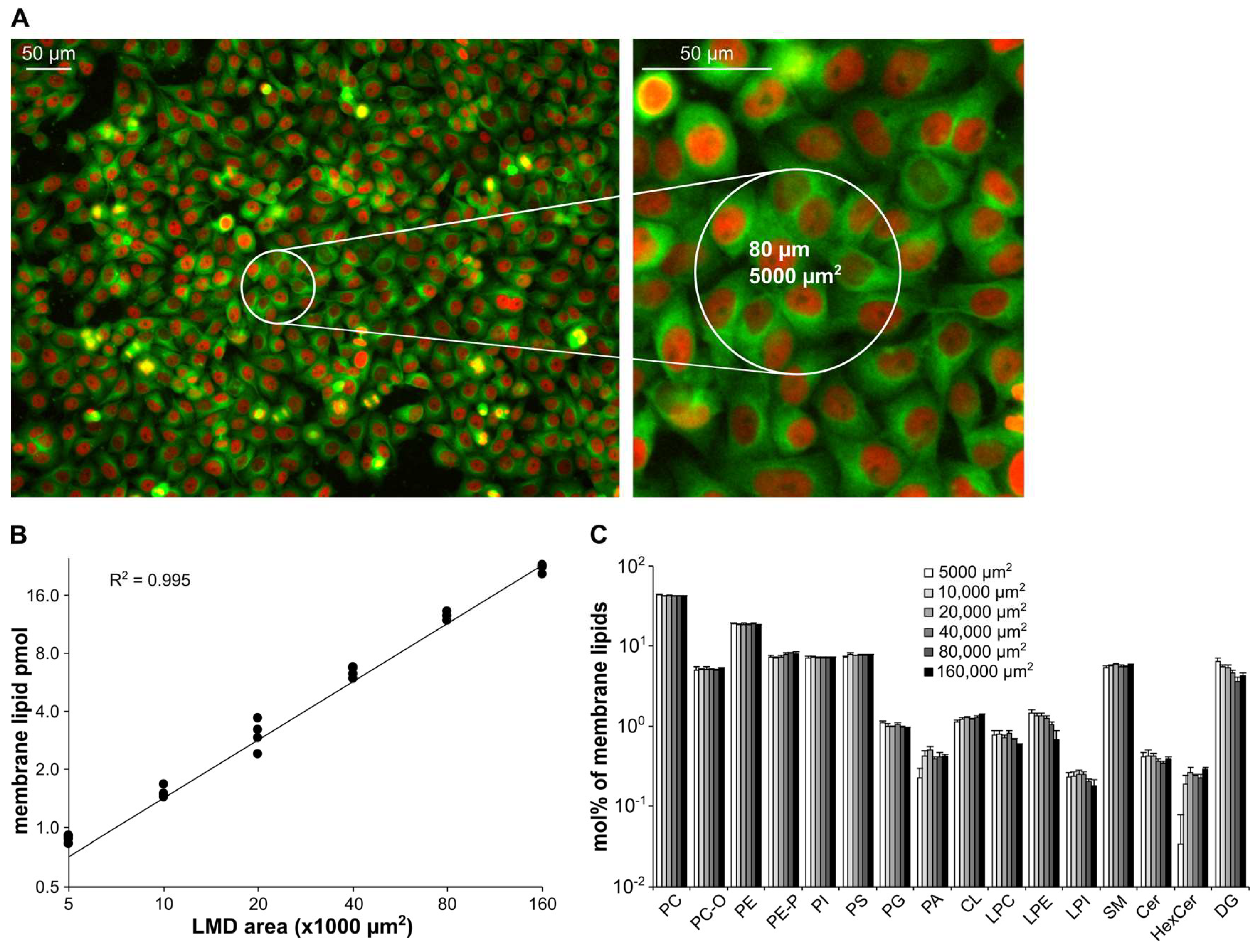 Cells 12 00428 g005 Cells 12 00428 g005