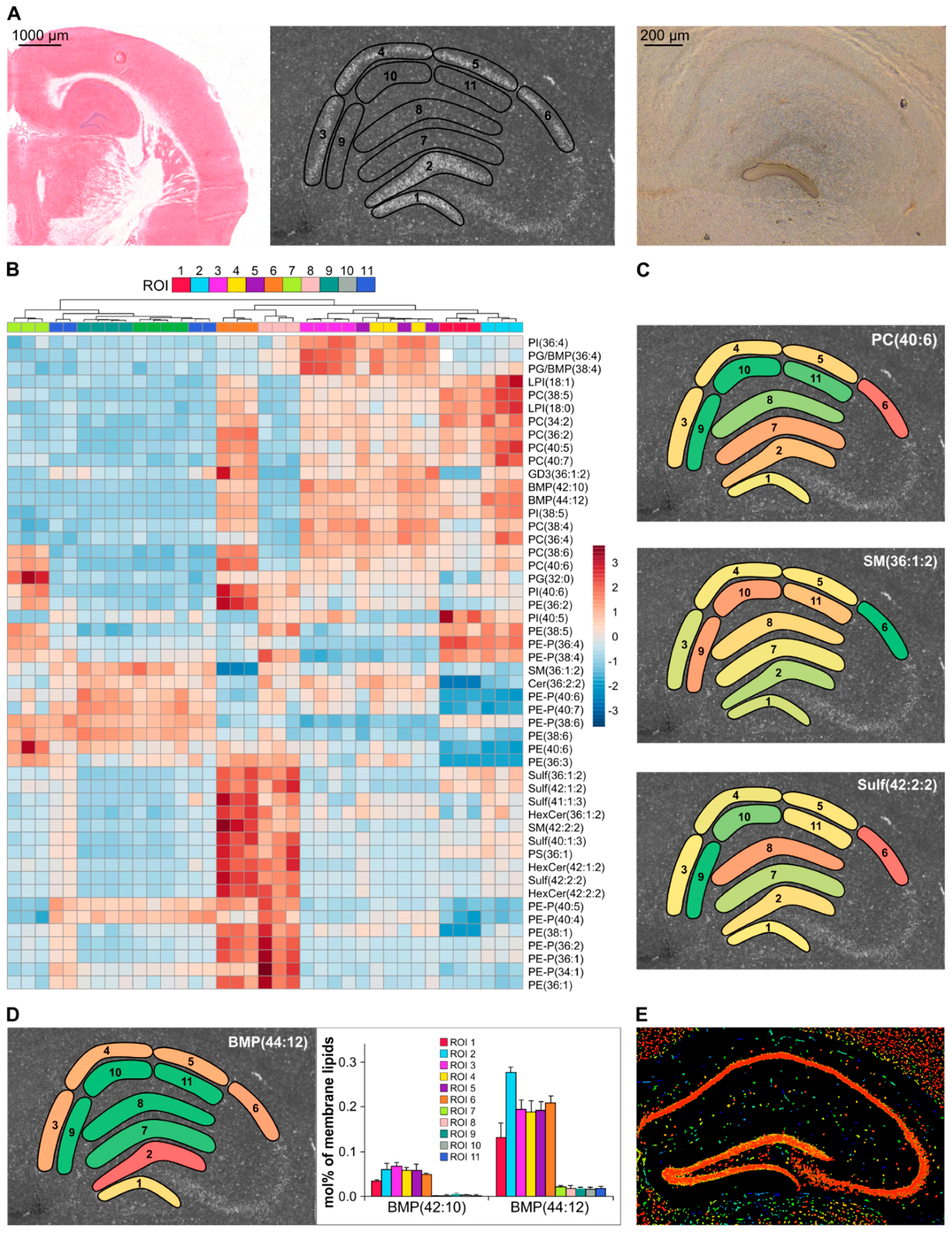 Cells 12 00428 g006 Cells 12 00428 g006