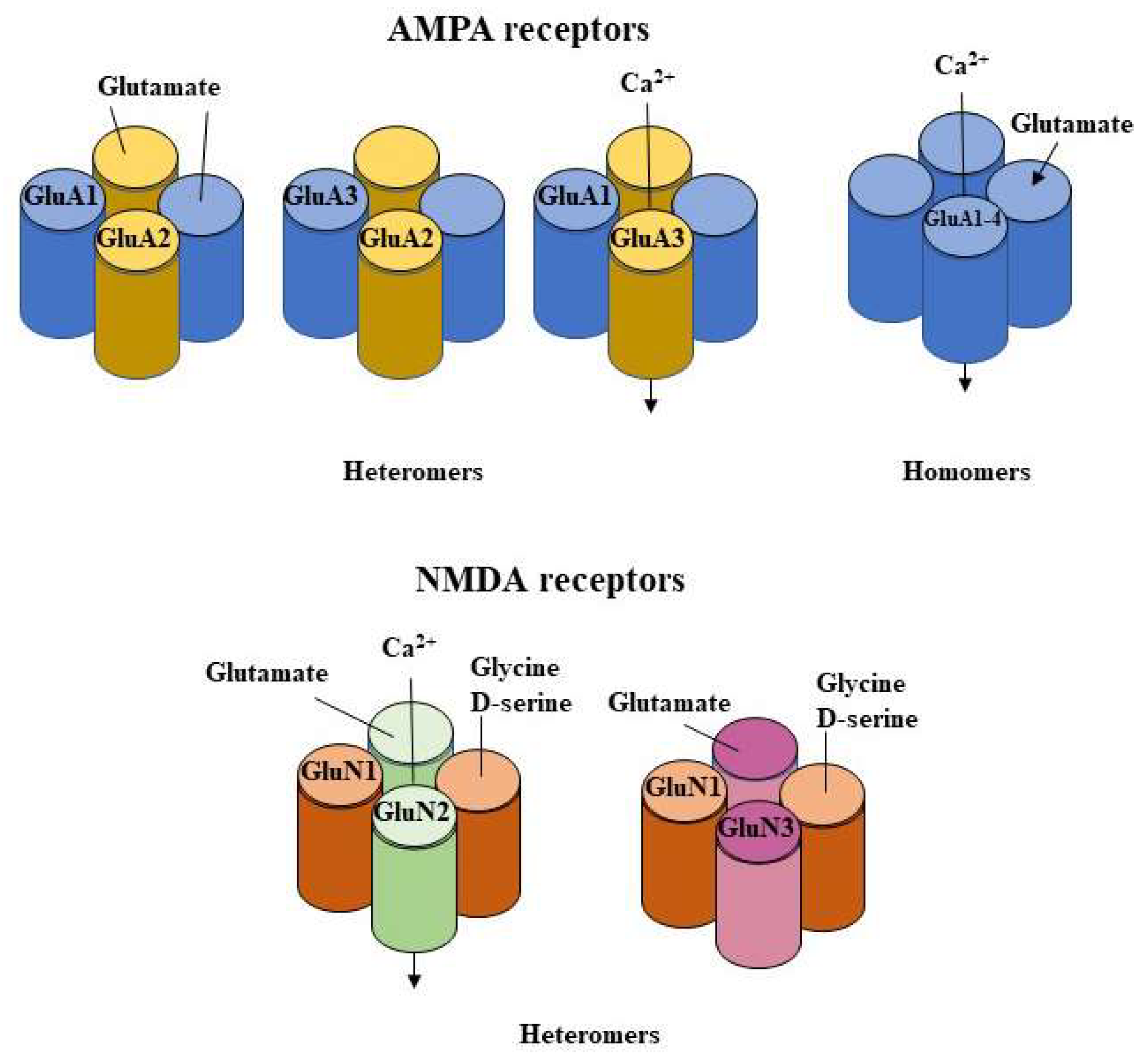 Cells 12 00442 g001 Cells 12 00442 g001