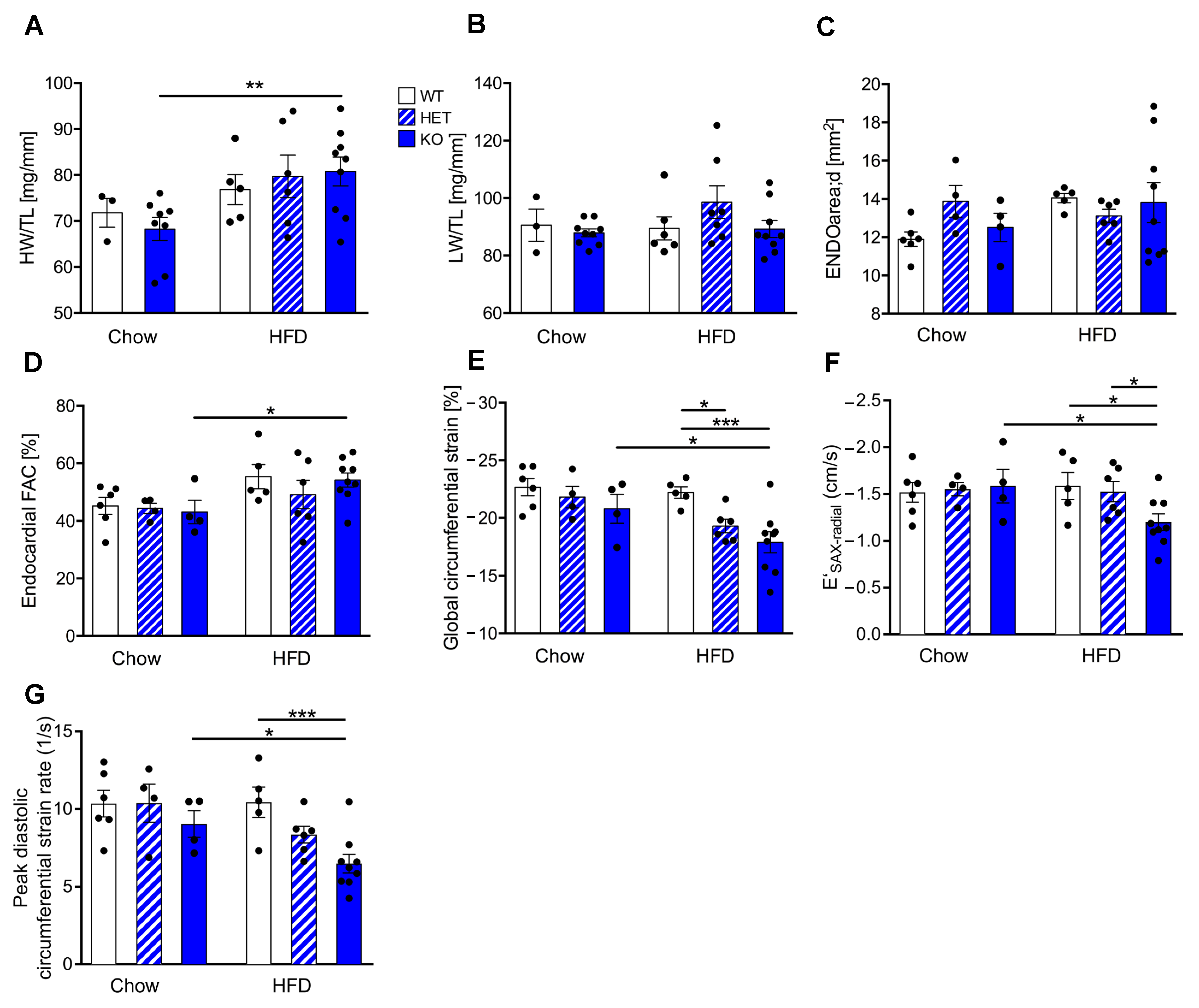 Cells 12 00443 g002 Cells 12 00443 g002