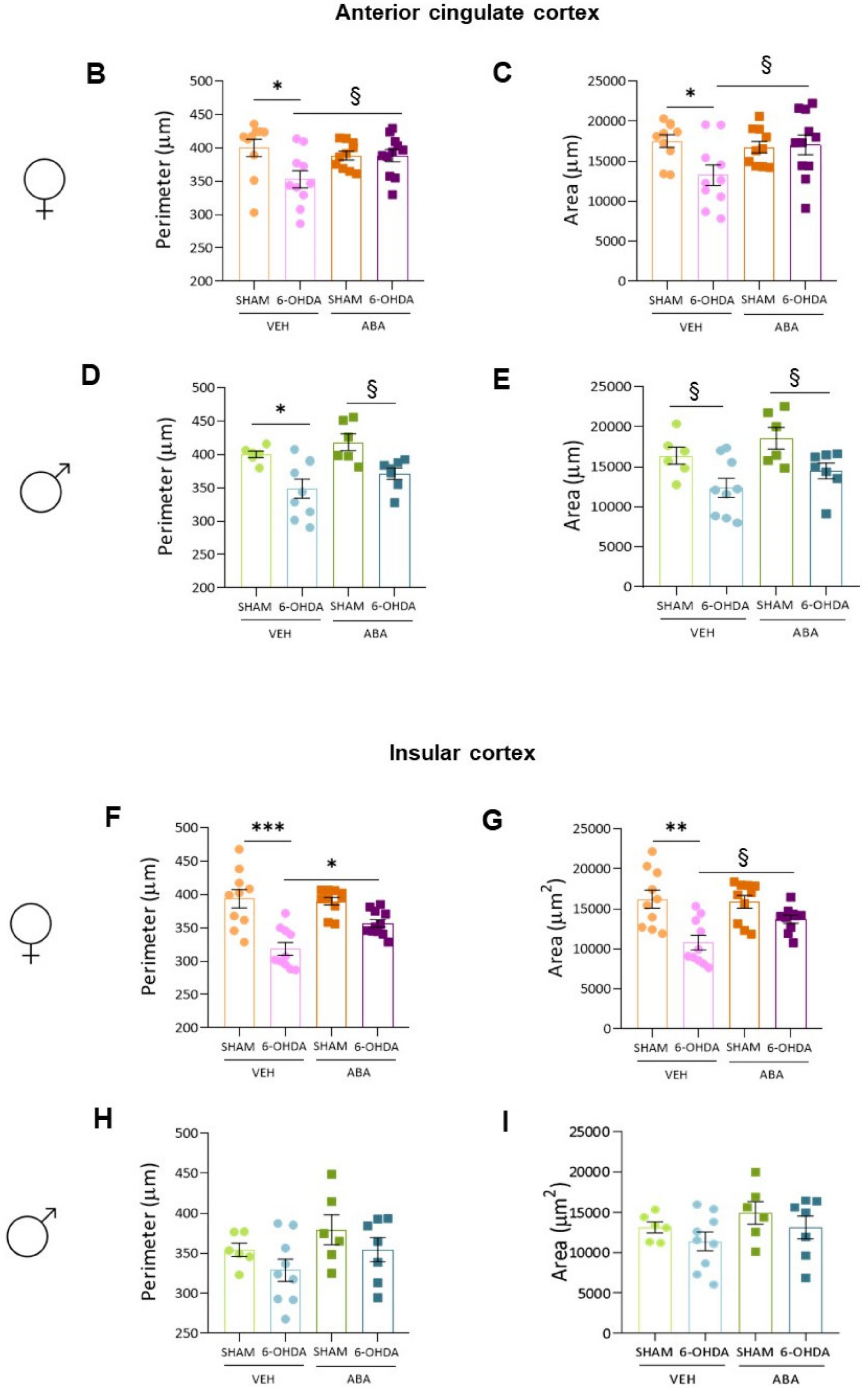 Cells 12 00465 g006b