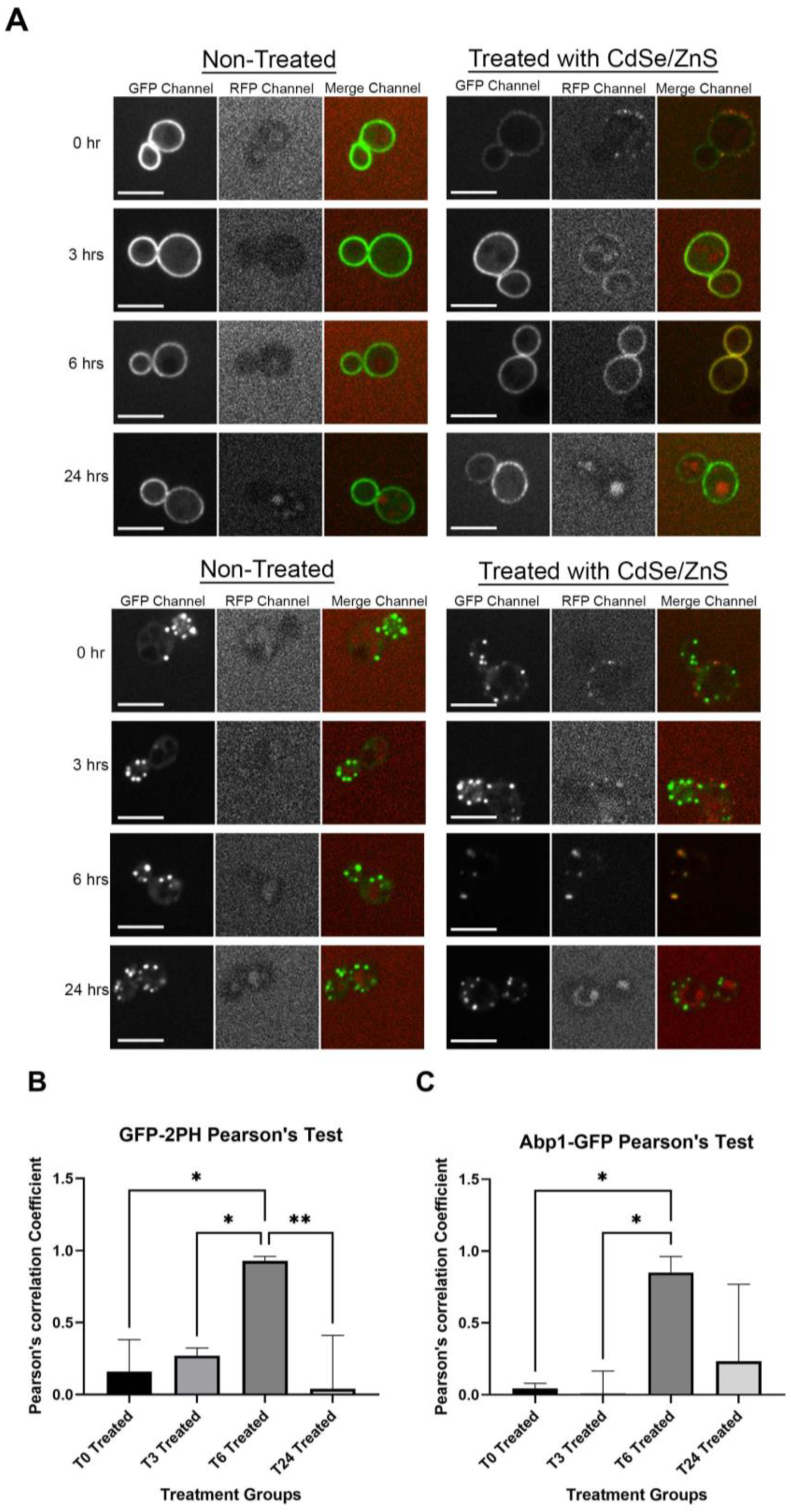 Cells 12 00484 g002 Cells 12 00484 g002