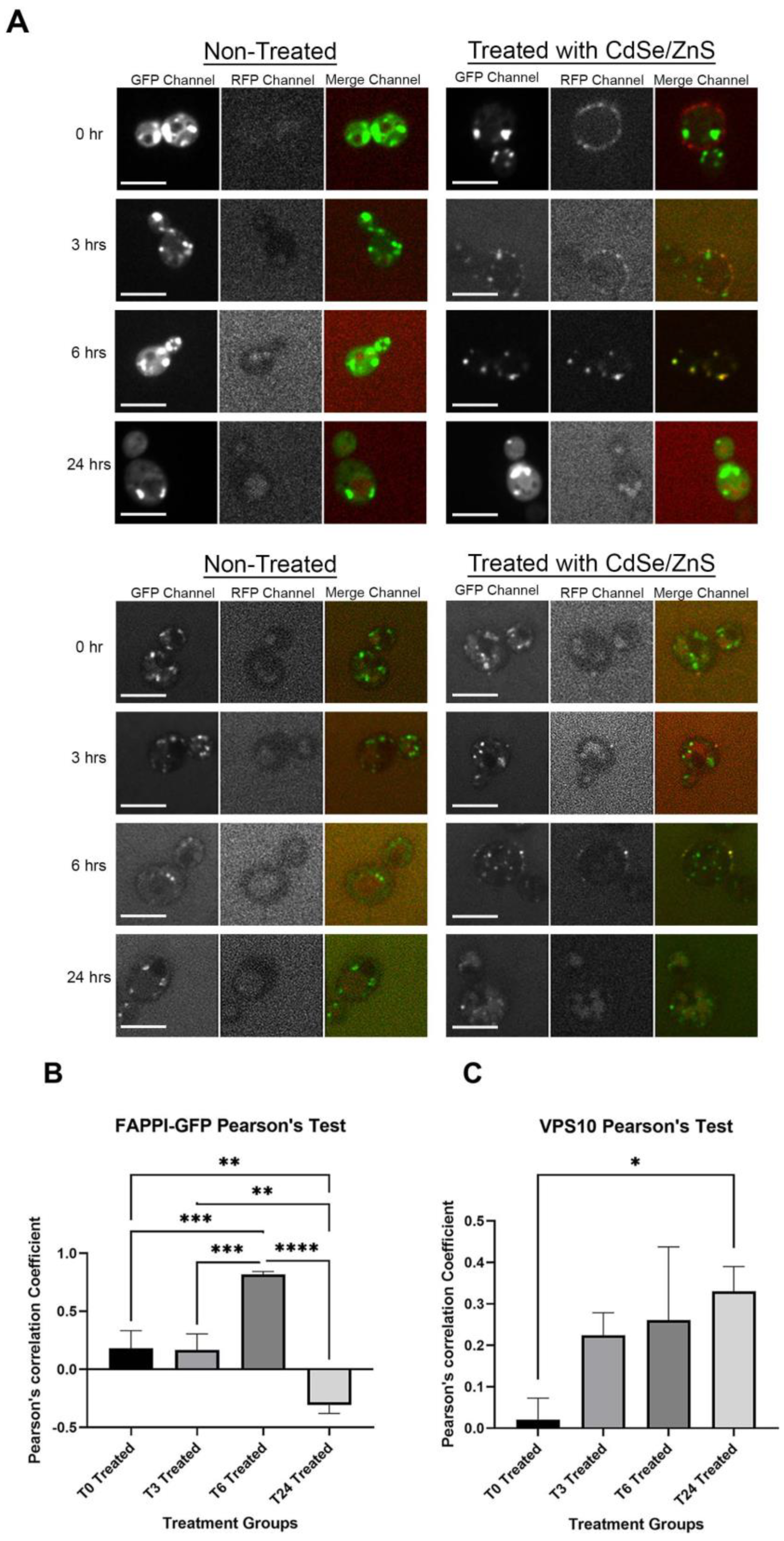 Cells 12 00484 g003 Cells 12 00484 g003