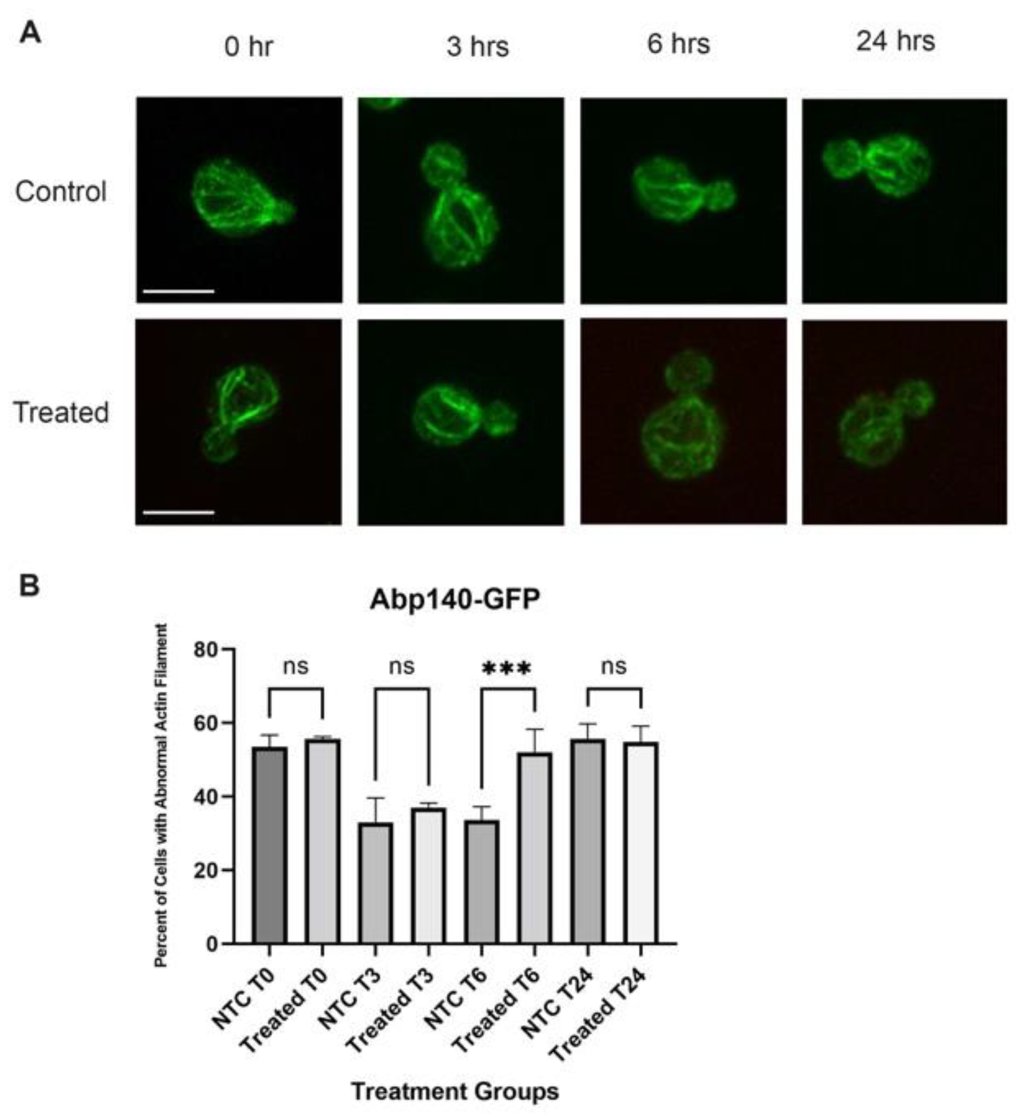 Cells 12 00484 g011 Cells 12 00484 g011