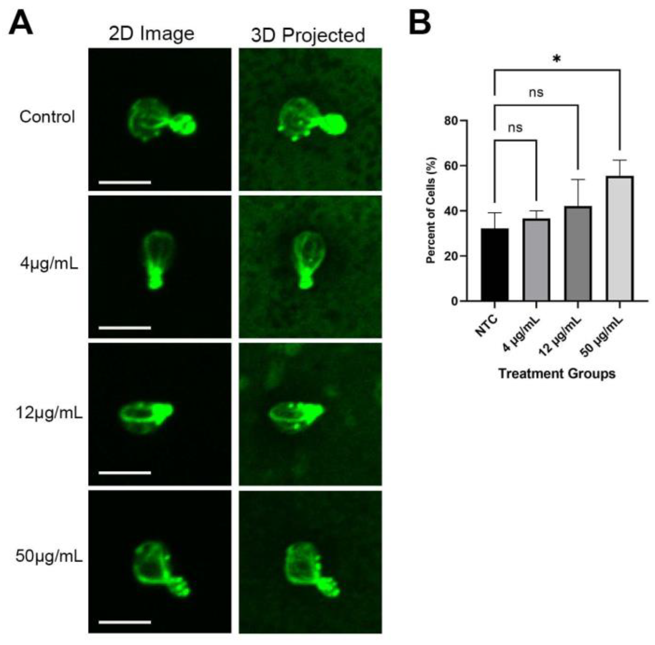 Cells 12 00484 g013 Cells 12 00484 g013