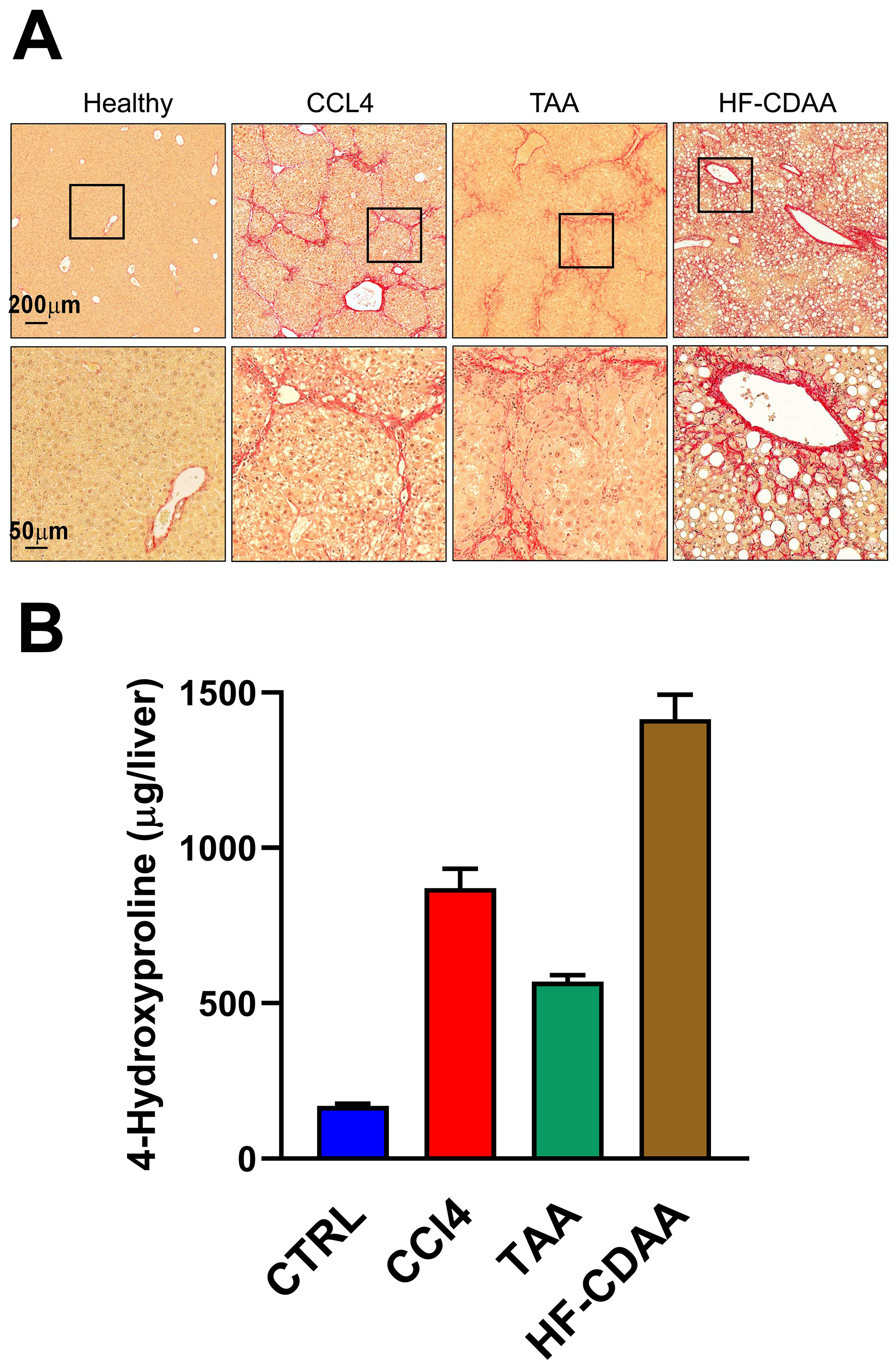 Cells 12 00485 g002 Cells 12 00485 g002