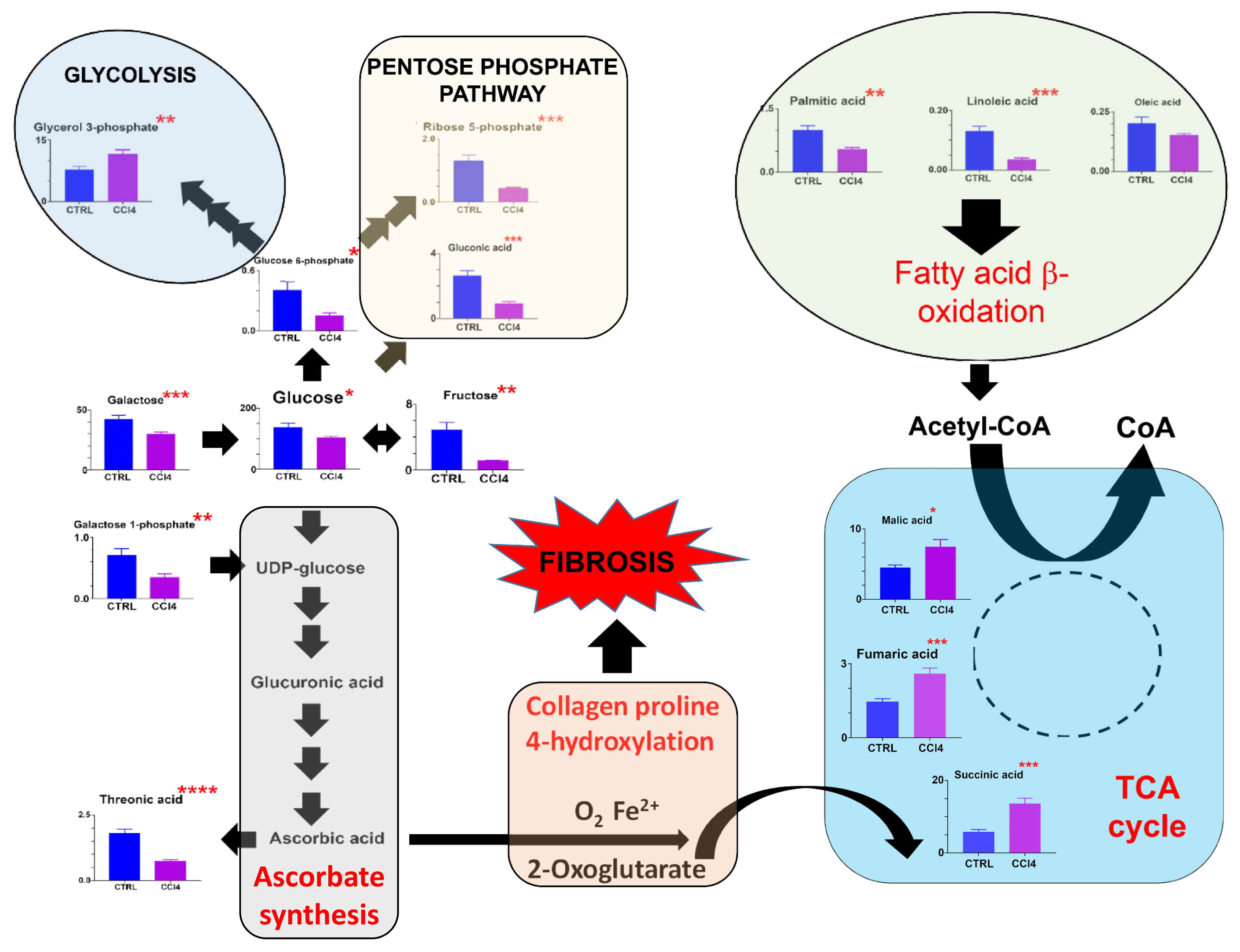 Cells 12 00485 g003 Cells 12 00485 g003