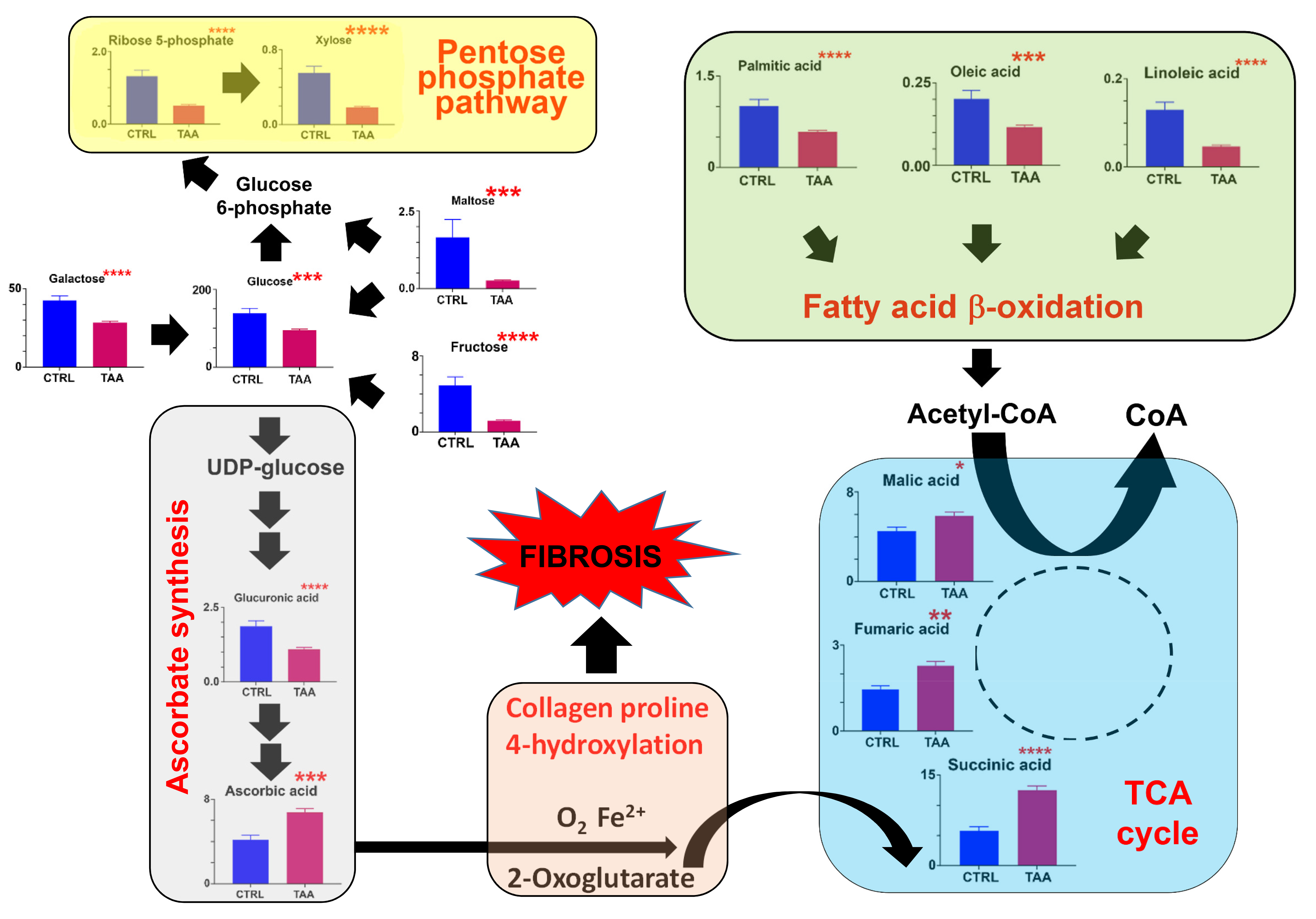 Cells 12 00485 g004 Cells 12 00485 g004