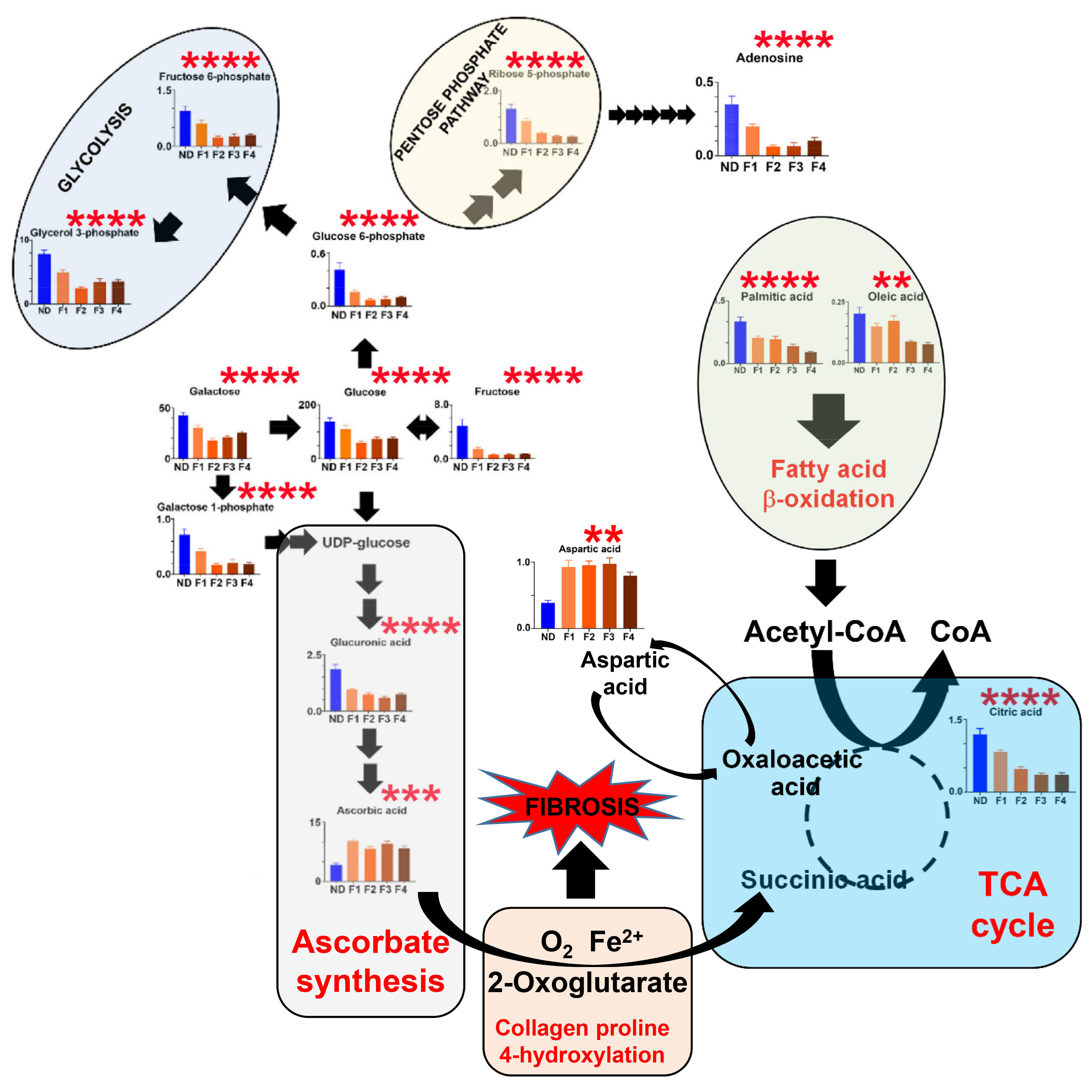 Cells 12 00485 g005 Cells 12 00485 g005