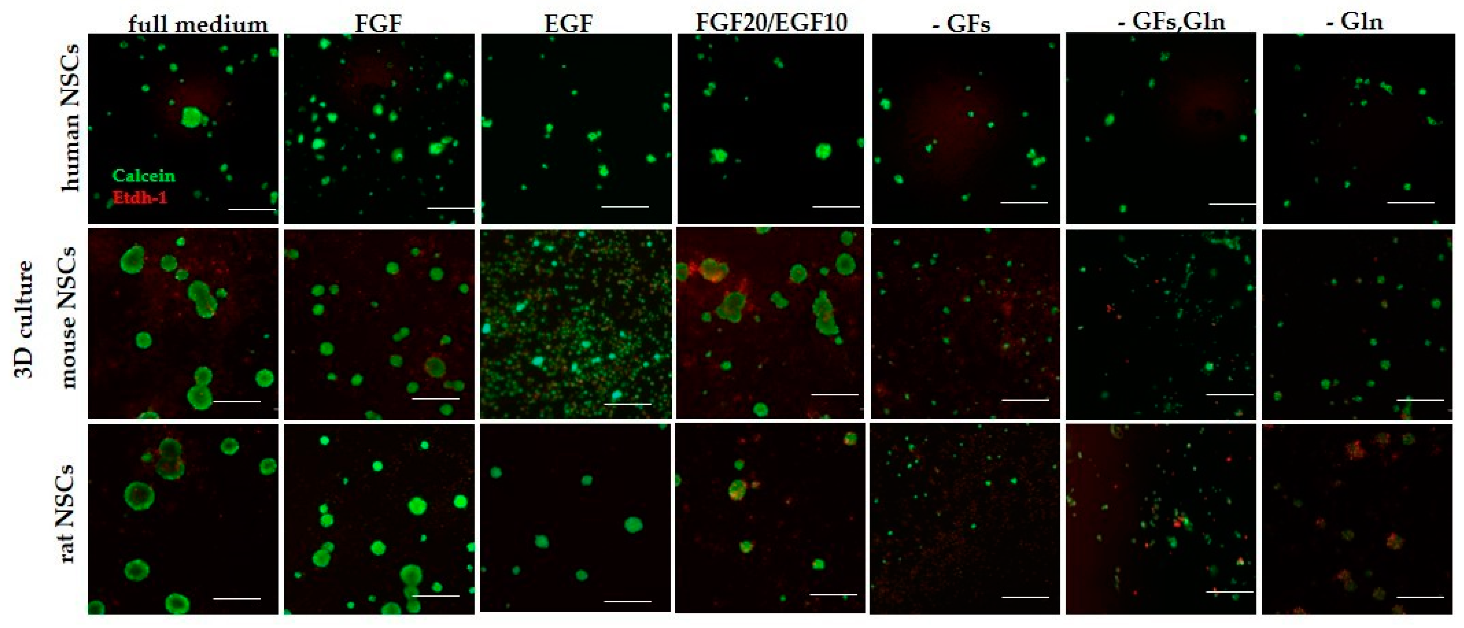 Cells 12 00488 g008 Cells 12 00488 g008