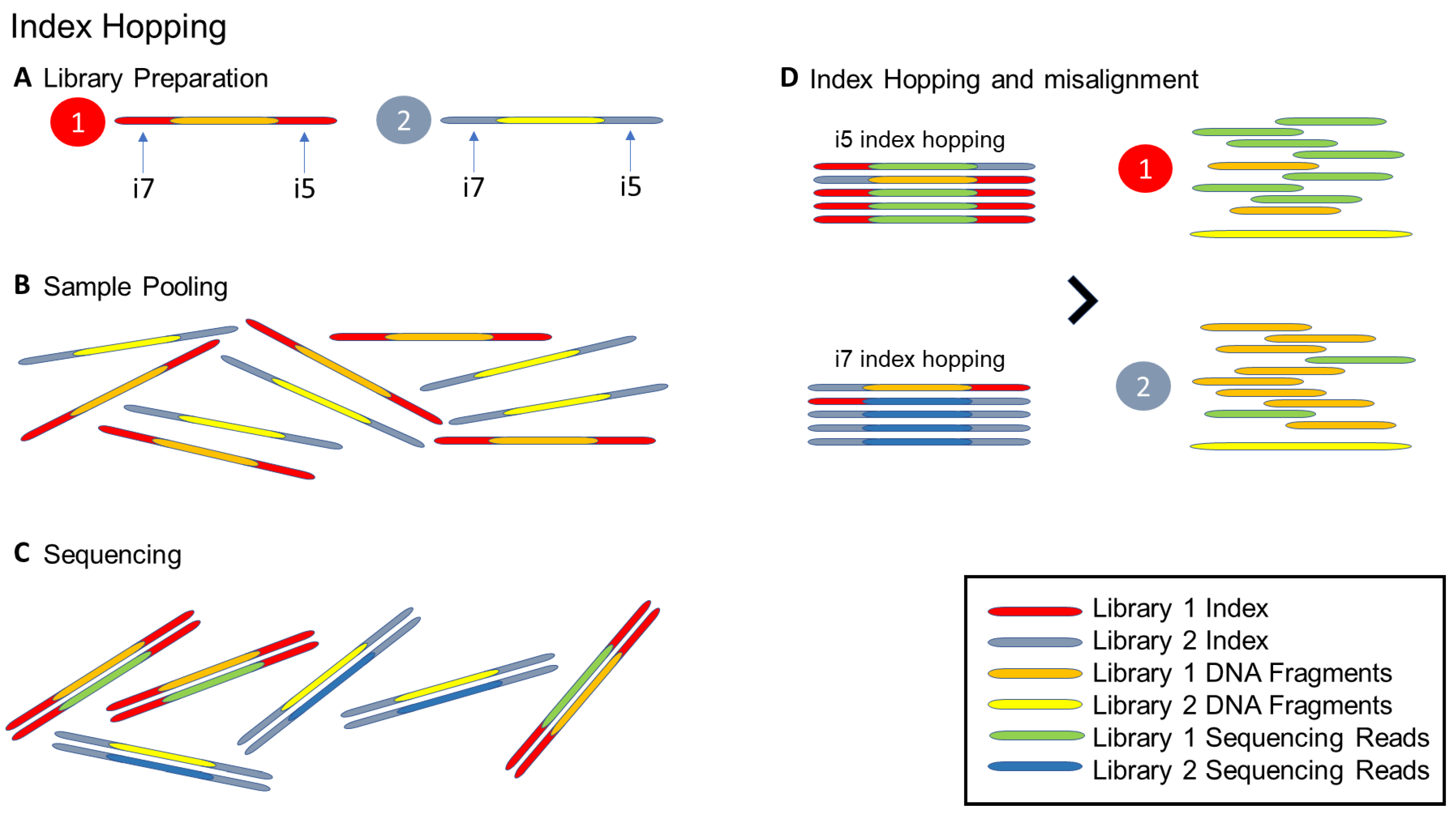 Cells 12 00493 g002 Cells 12 00493 g002