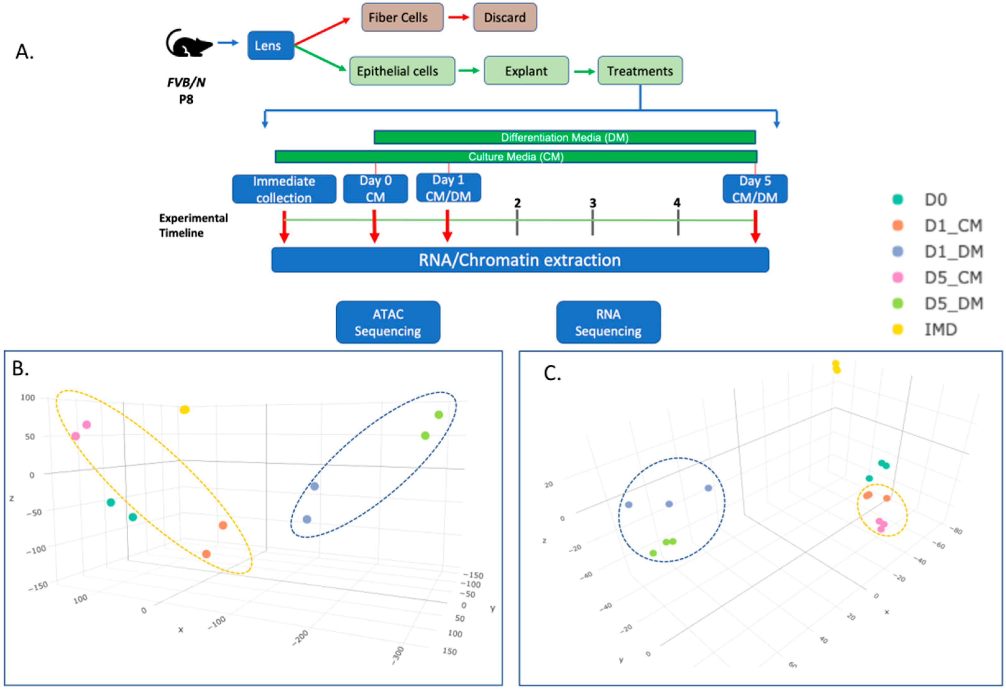 Cells 12 00501 g001 Cells 12 00501 g001