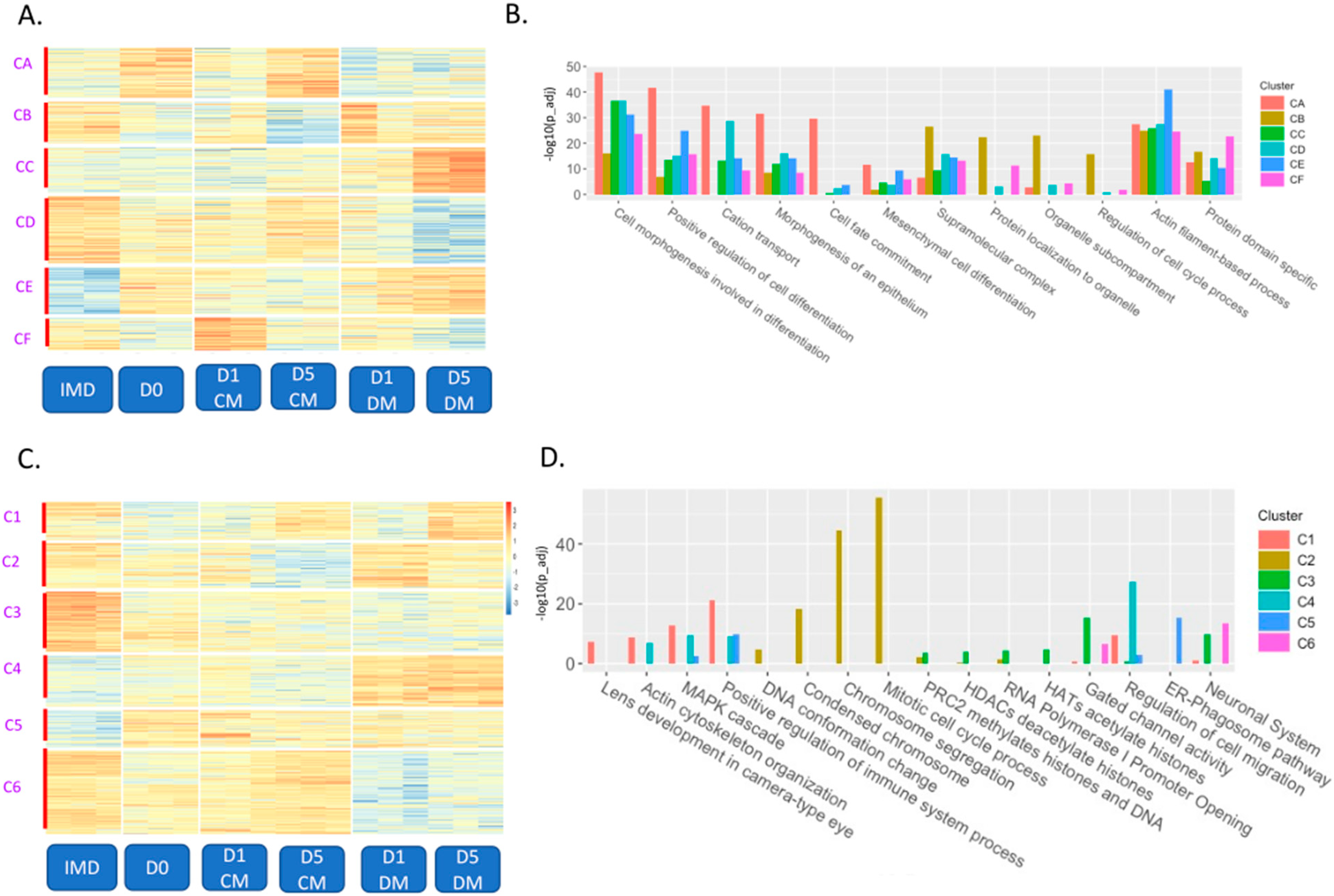 Cells 12 00501 g002 Cells 12 00501 g002