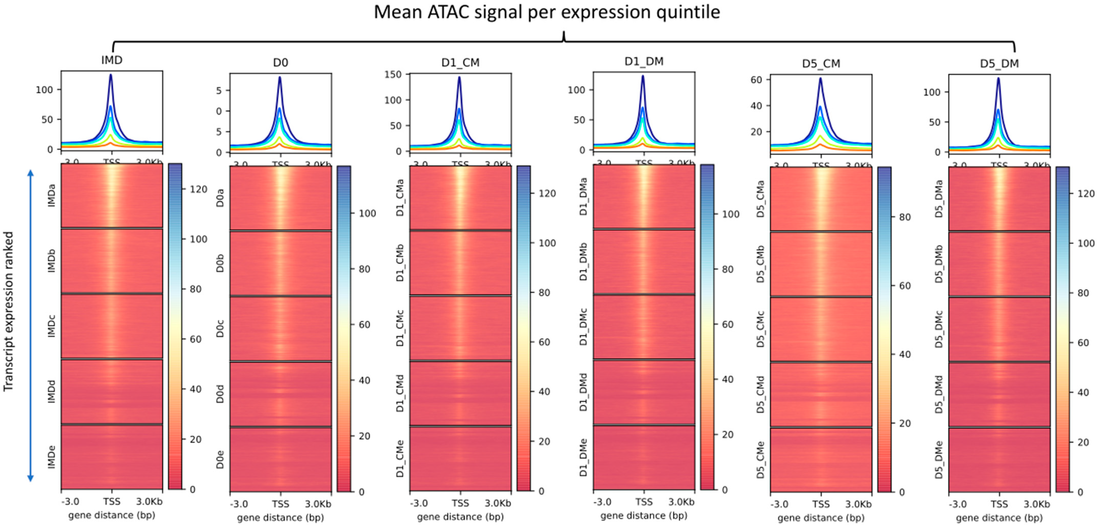 Cells 12 00501 g003 Cells 12 00501 g003