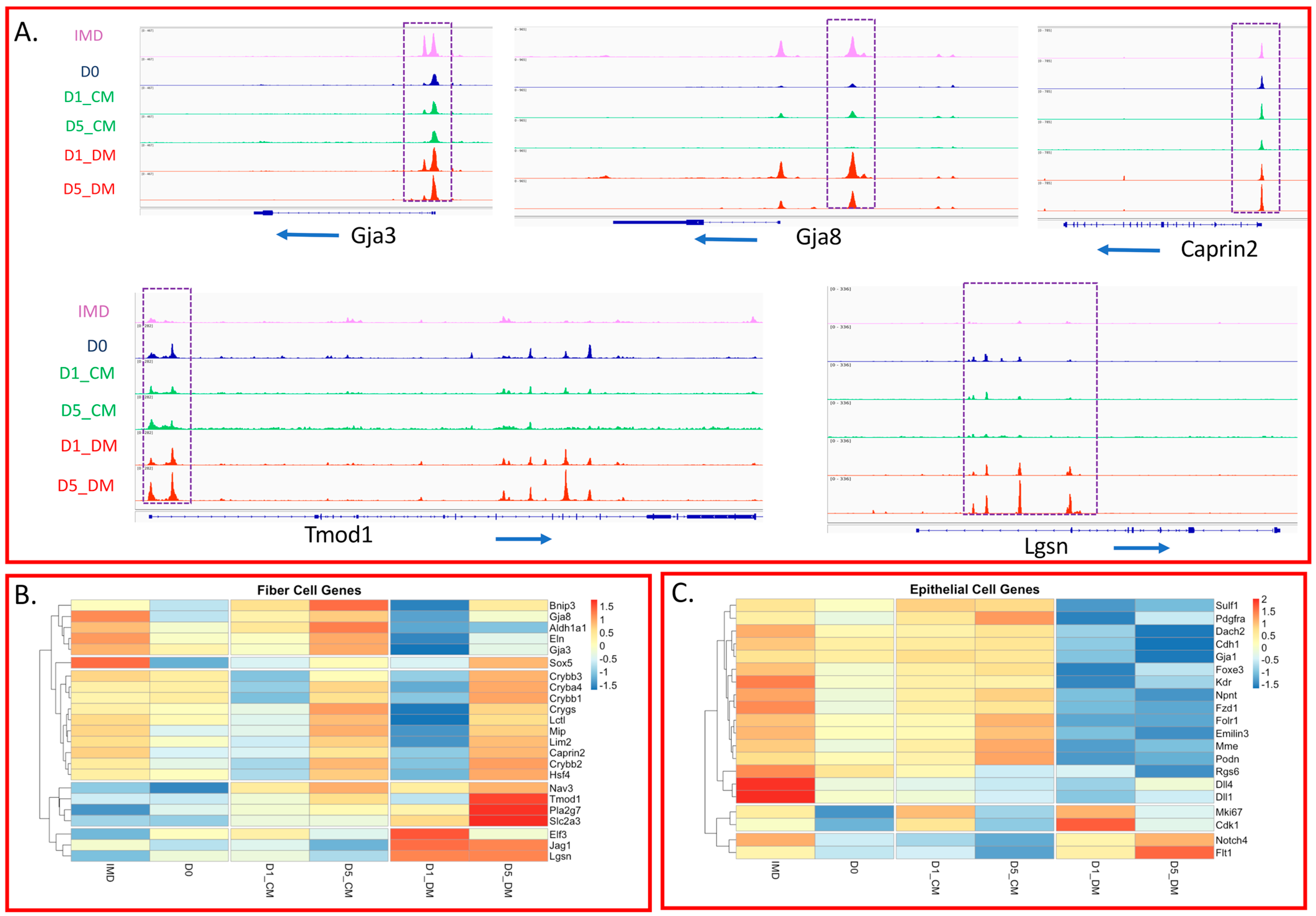 Cells 12 00501 g005 Cells 12 00501 g005