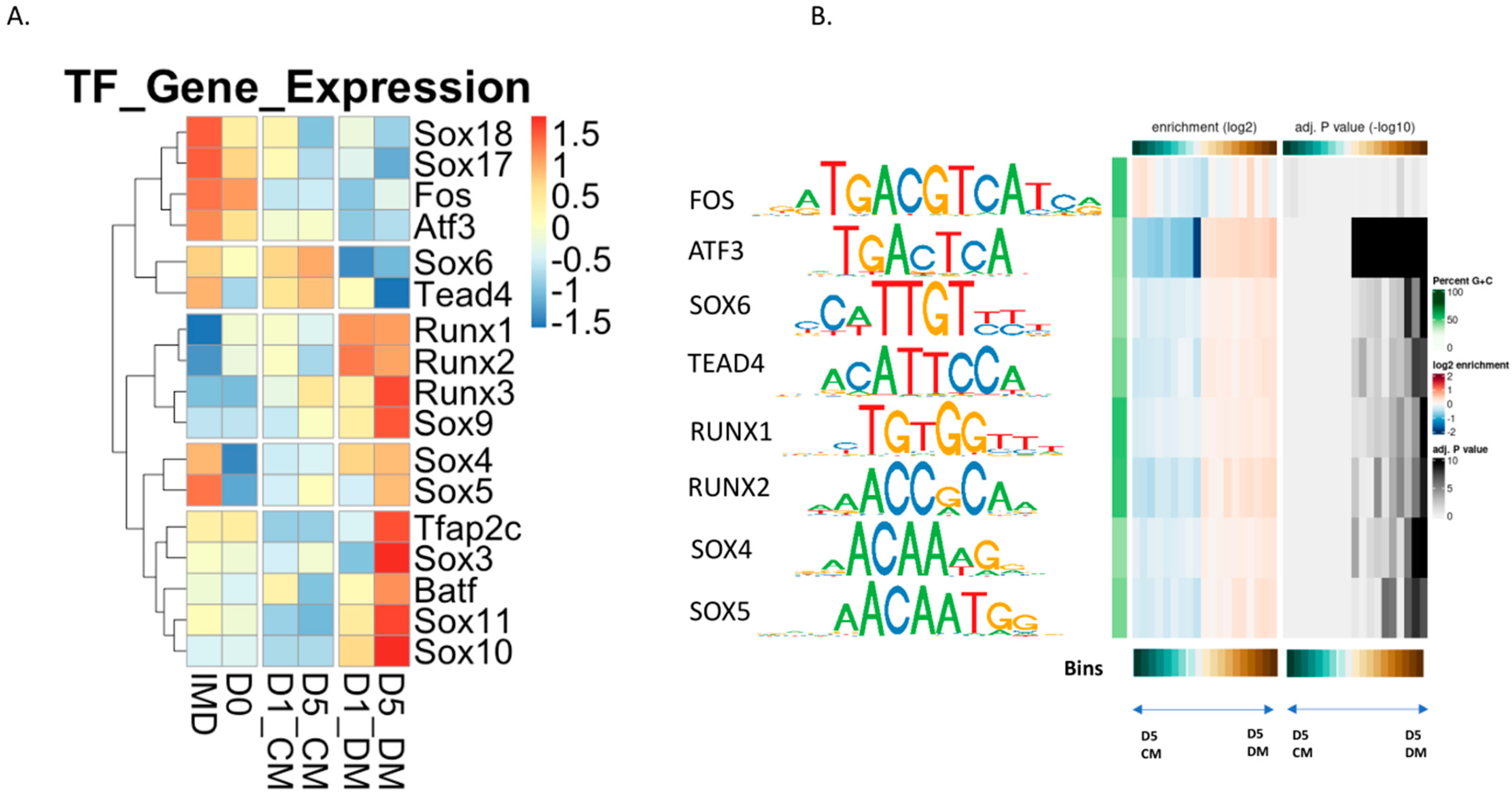 Cells 12 00501 g007 Cells 12 00501 g007