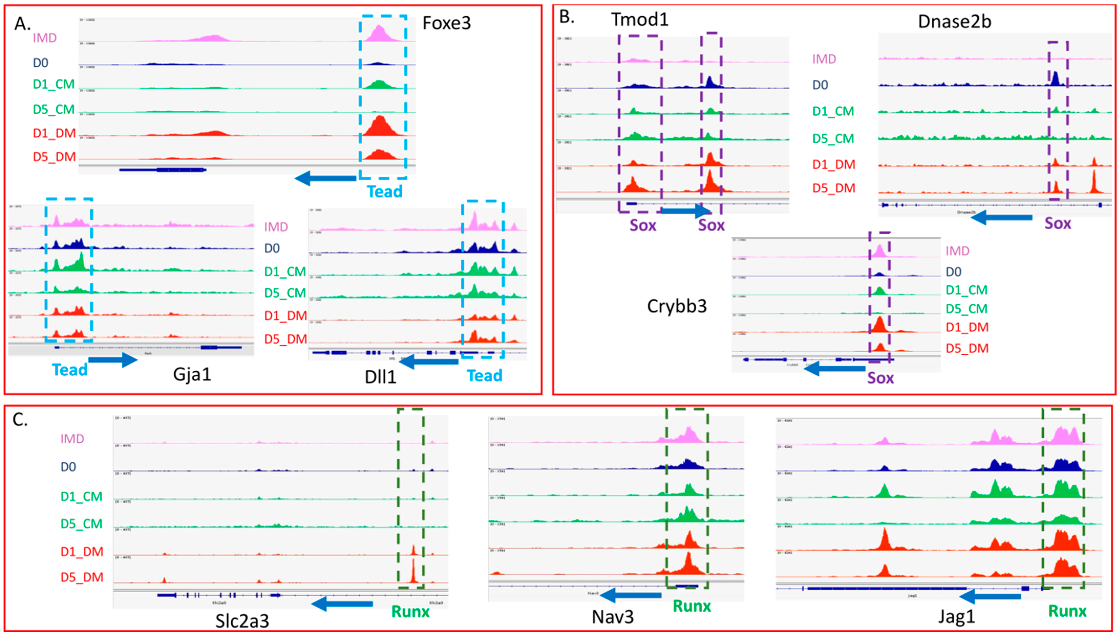 Cells 12 00501 g008 Cells 12 00501 g008