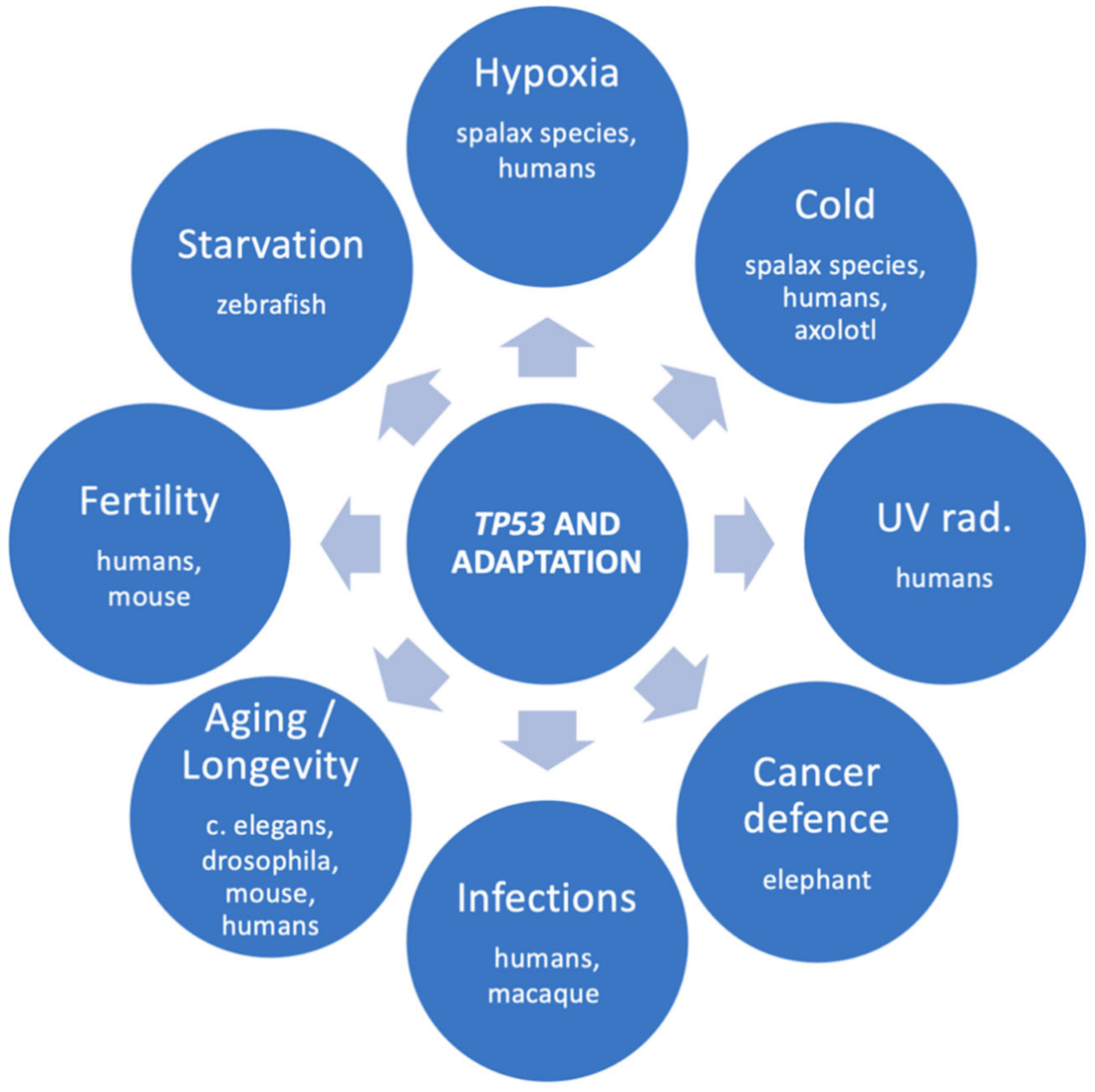 Cells 12 00512 g002 Cells 12 00512 g002