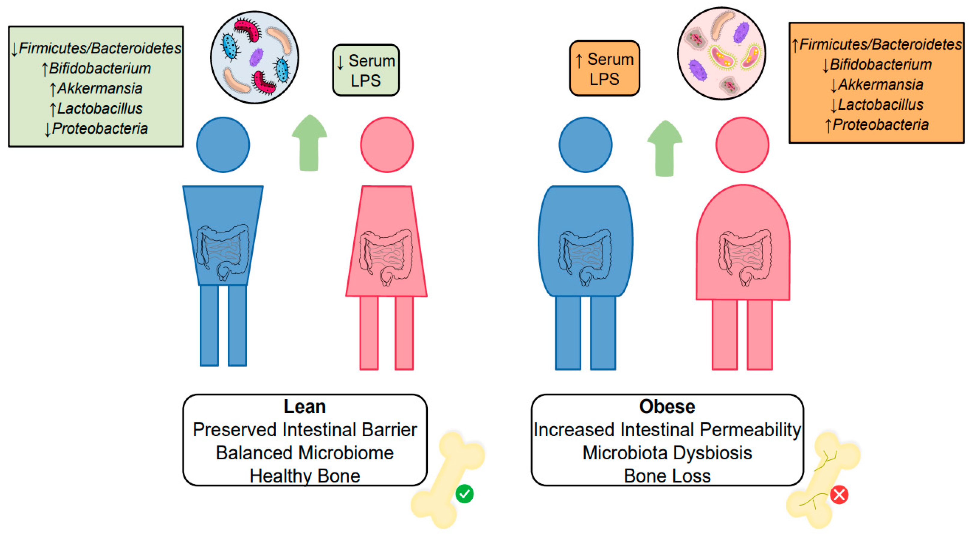 Cells 12 00521 g003 Cells 12 00521 g003