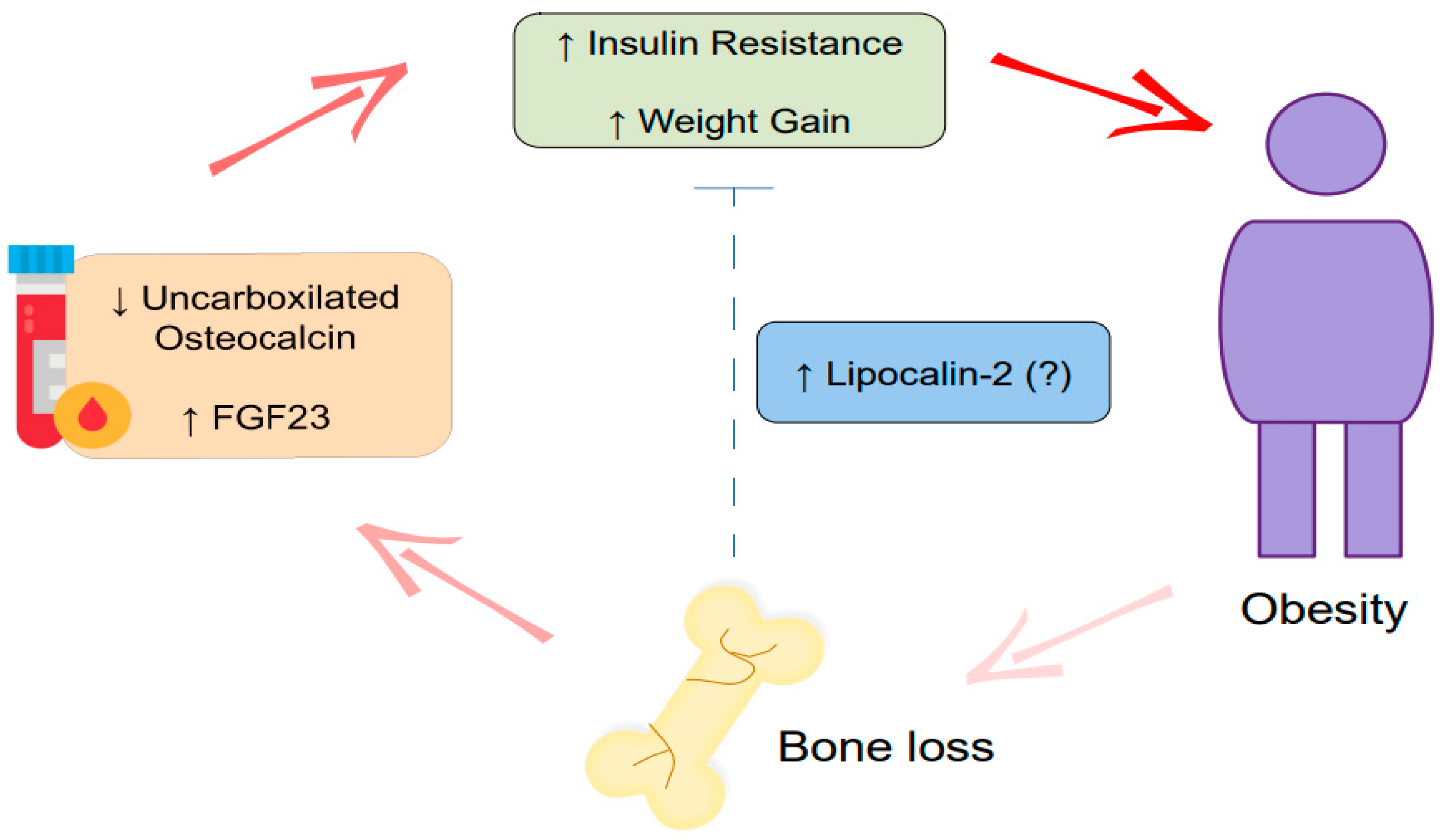 Cells 12 00521 g004 Cells 12 00521 g004