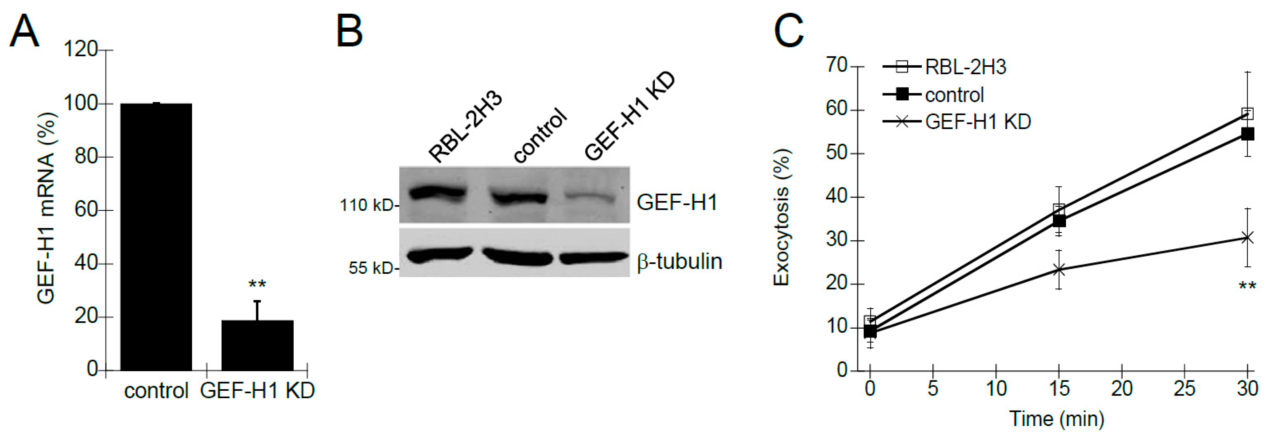 Cells 12 00537 g001 Cells 12 00537 g001