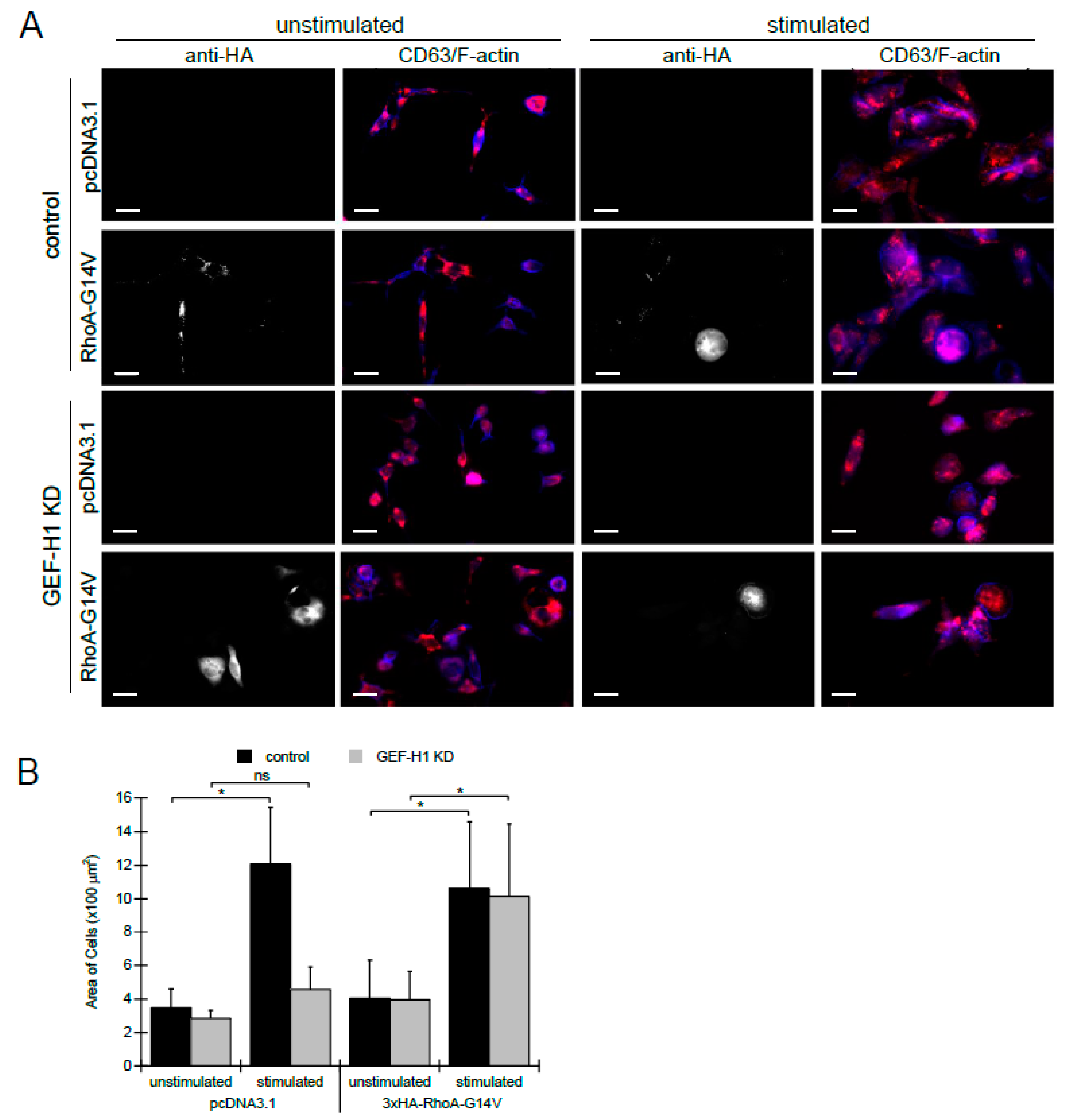 Cells 12 00537 g006 Cells 12 00537 g006