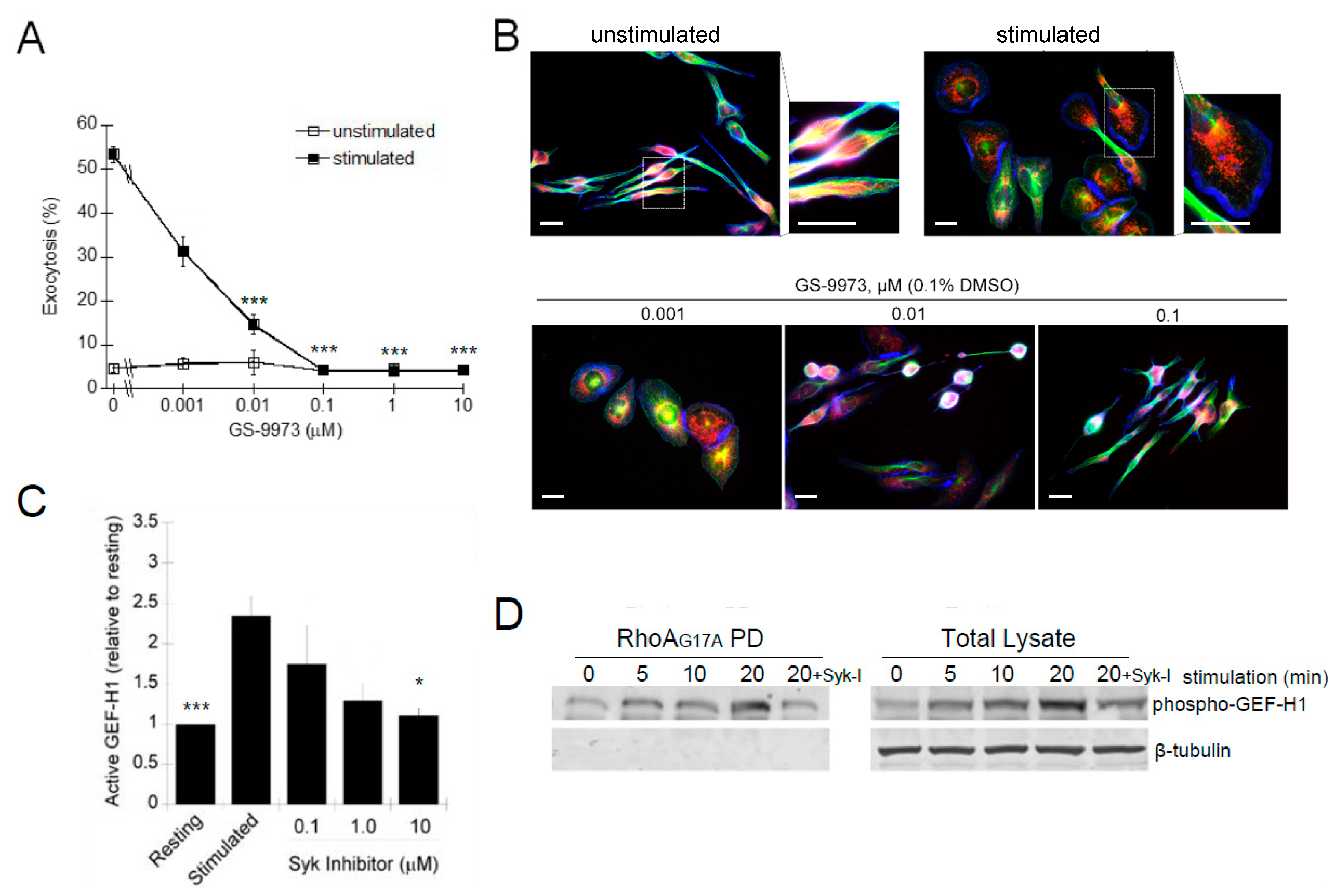 Cells 12 00537 g009 Cells 12 00537 g009
