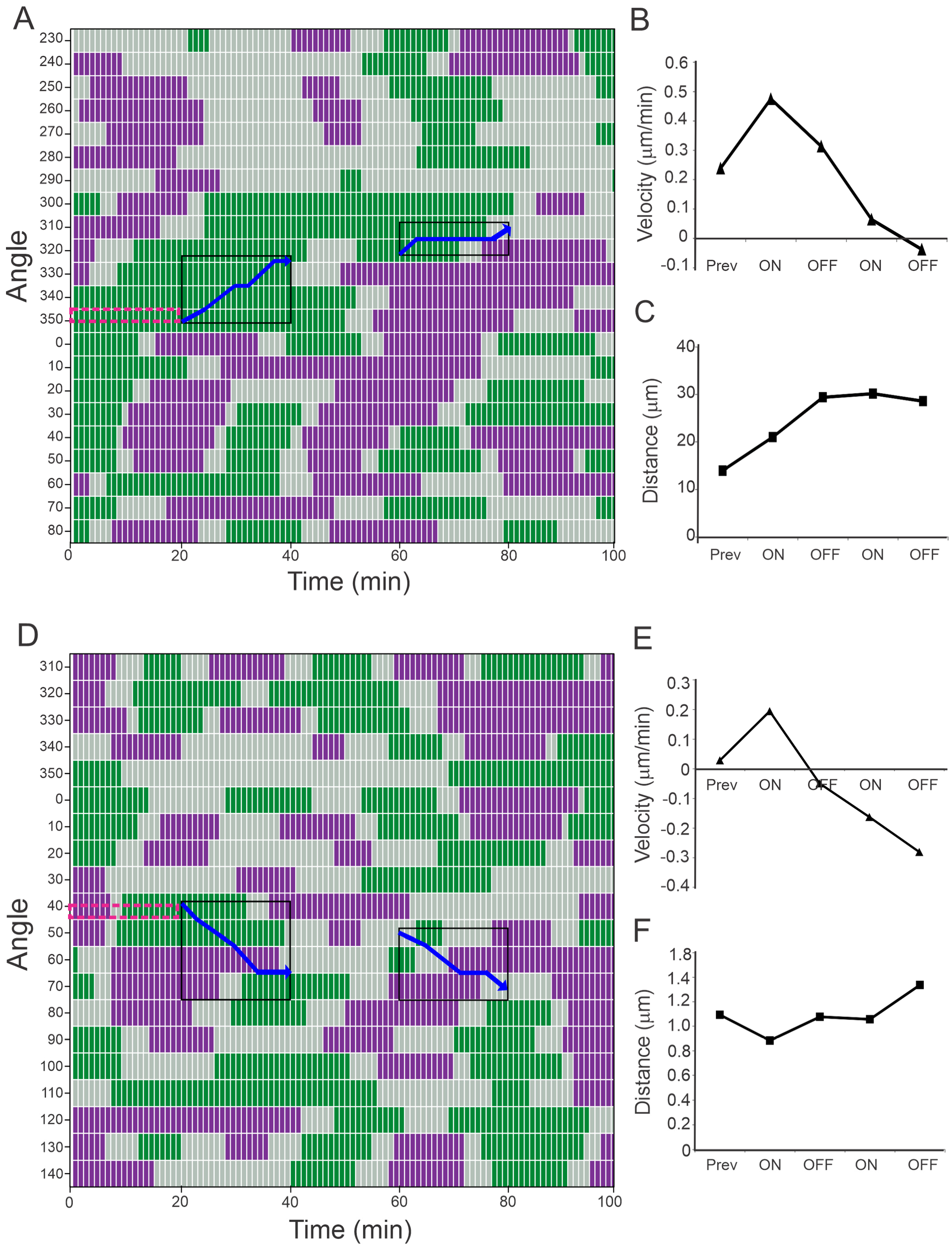 Cells 12 00540 g003 Cells 12 00540 g003