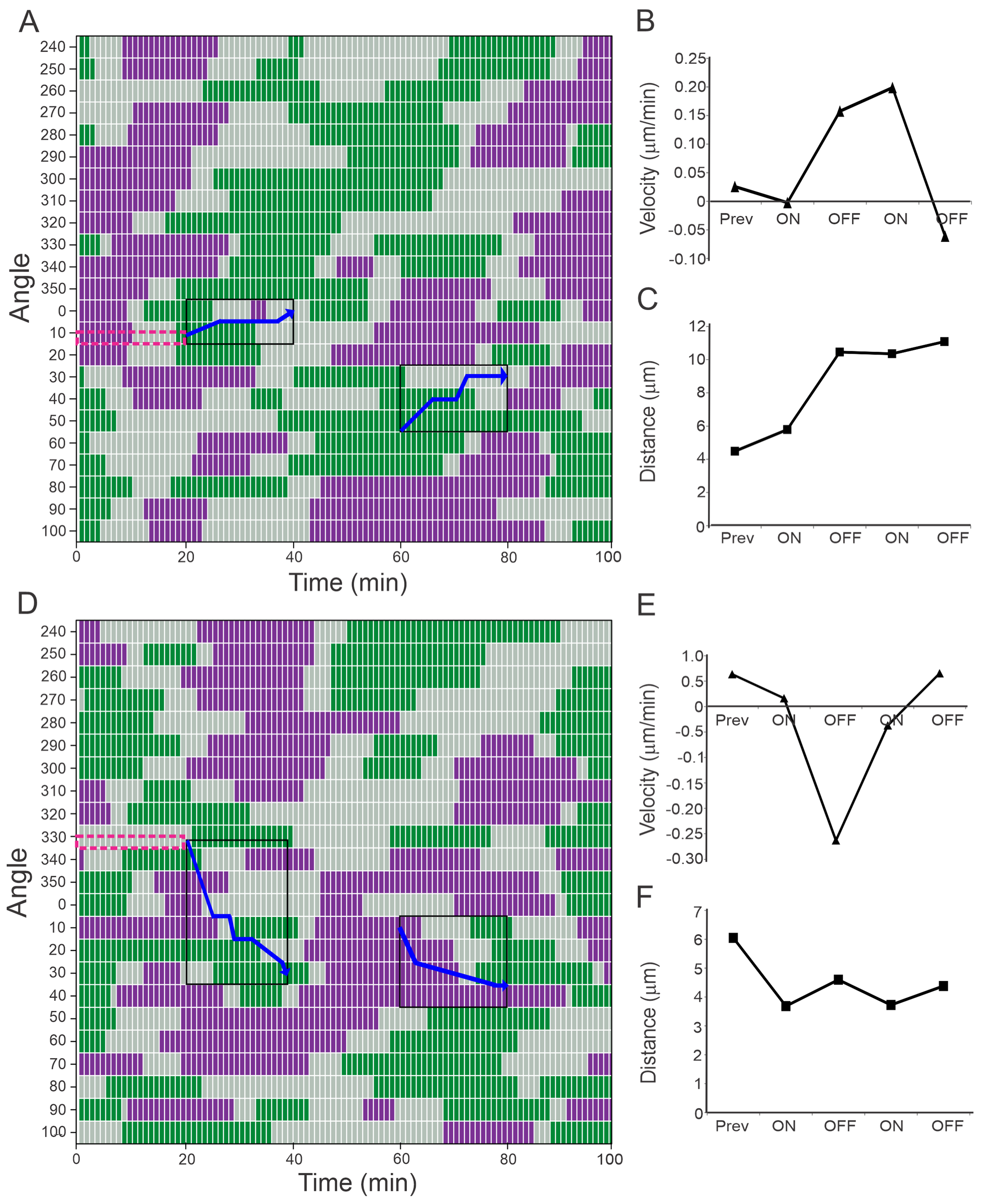 Cells 12 00540 g004 Cells 12 00540 g004