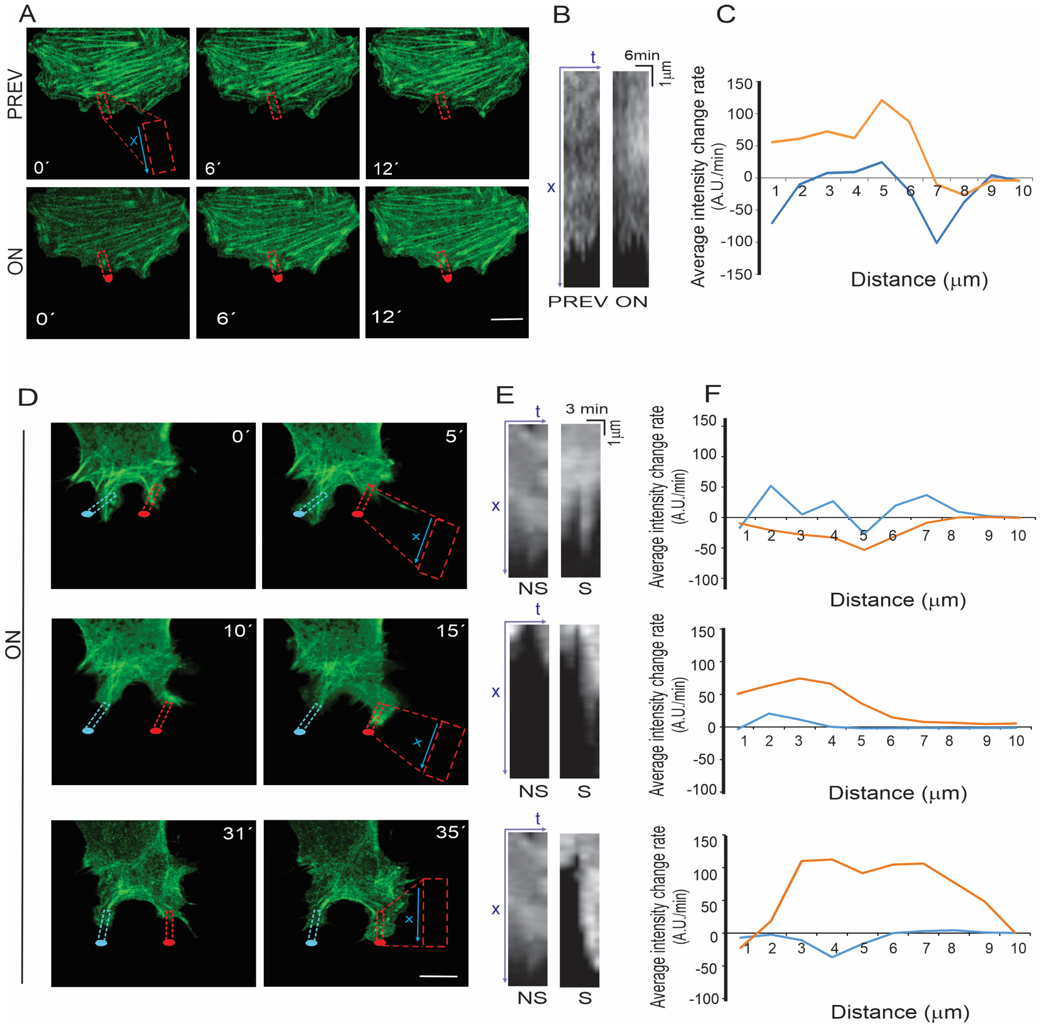 Cells 12 00540 g006 Cells 12 00540 g006