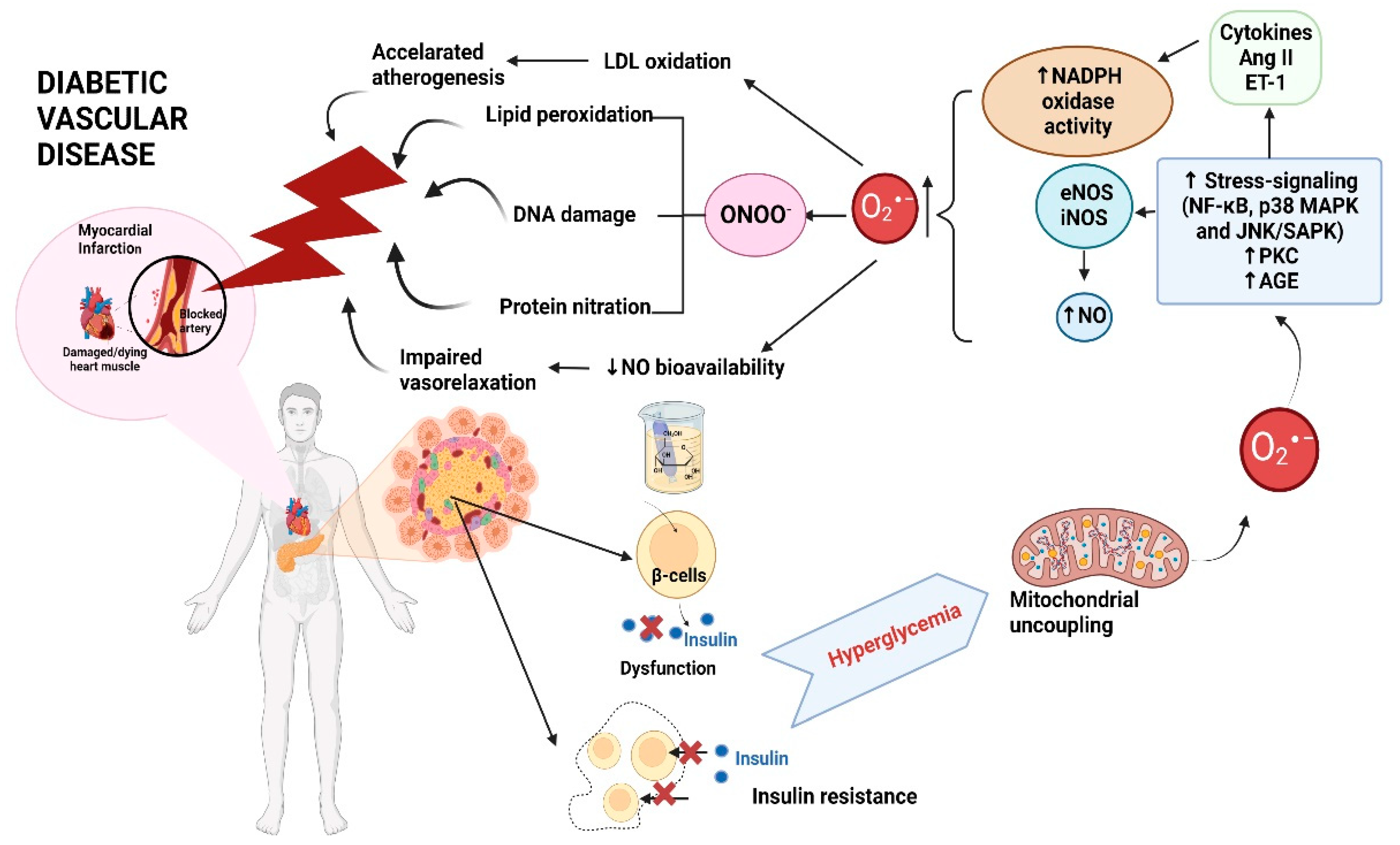 Cells 12 00583 g003 Cells 12 00583 g003