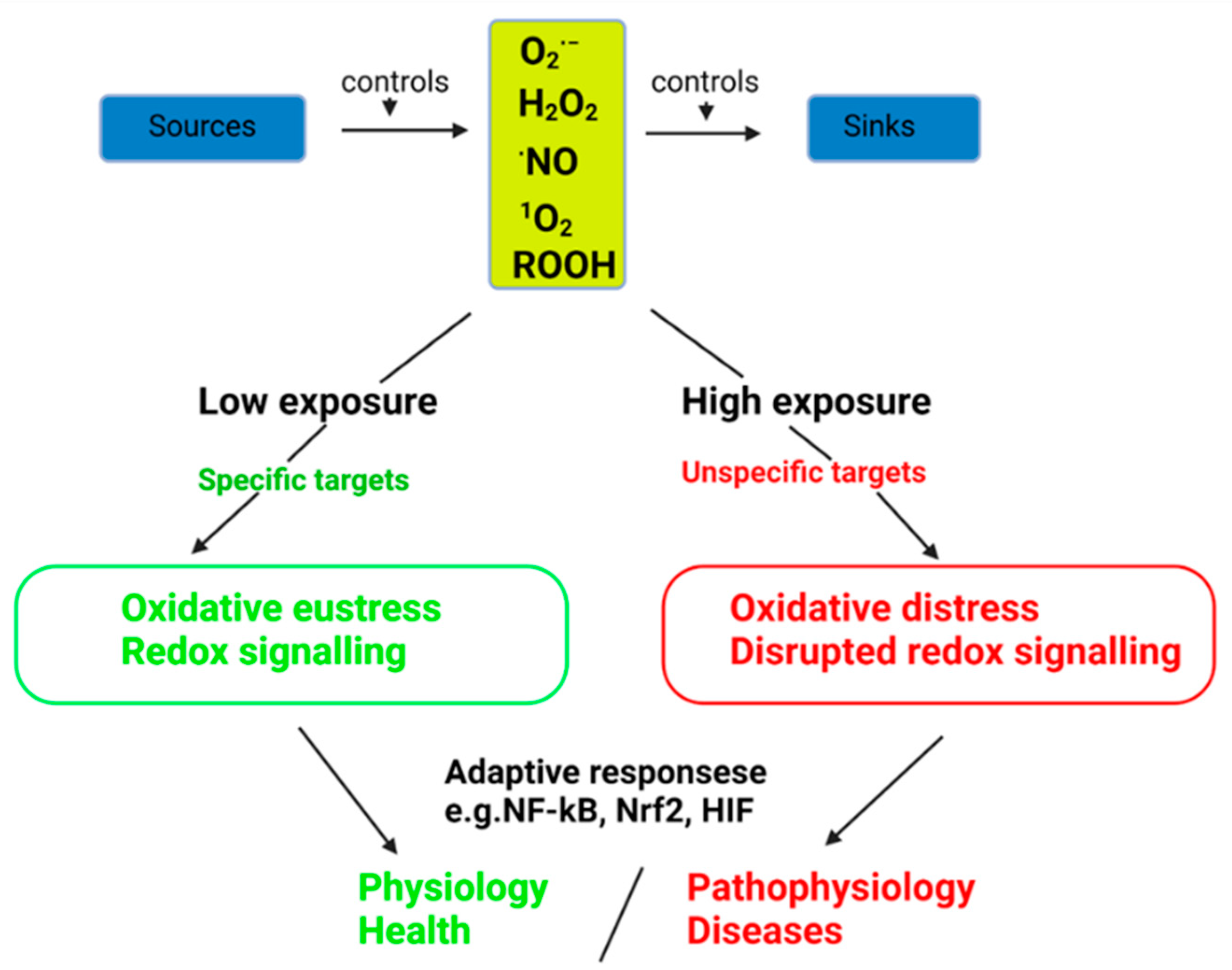 Cells 12 00583 g004 Cells 12 00583 g004