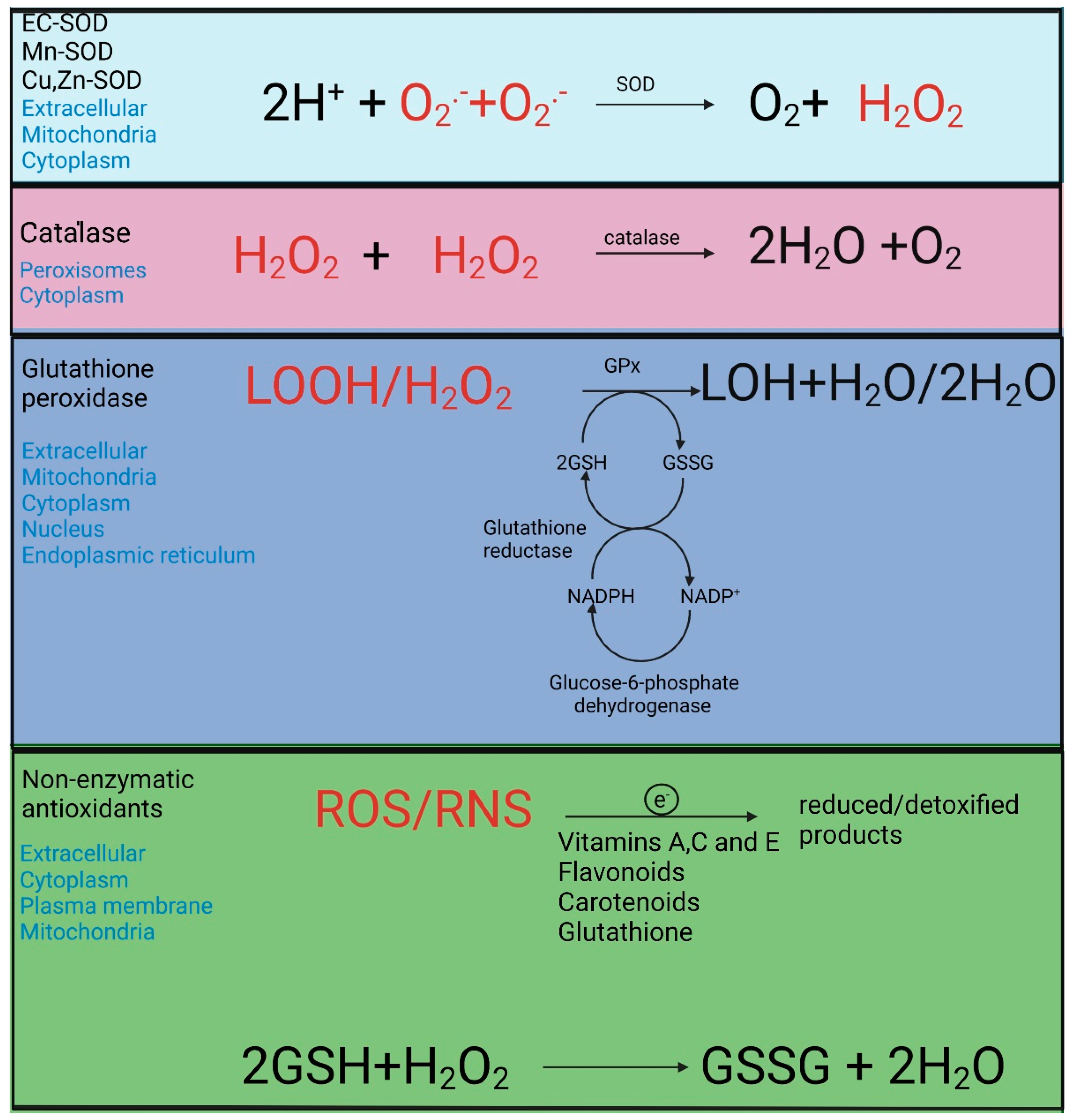 Cells 12 00583 g005 Cells 12 00583 g005
