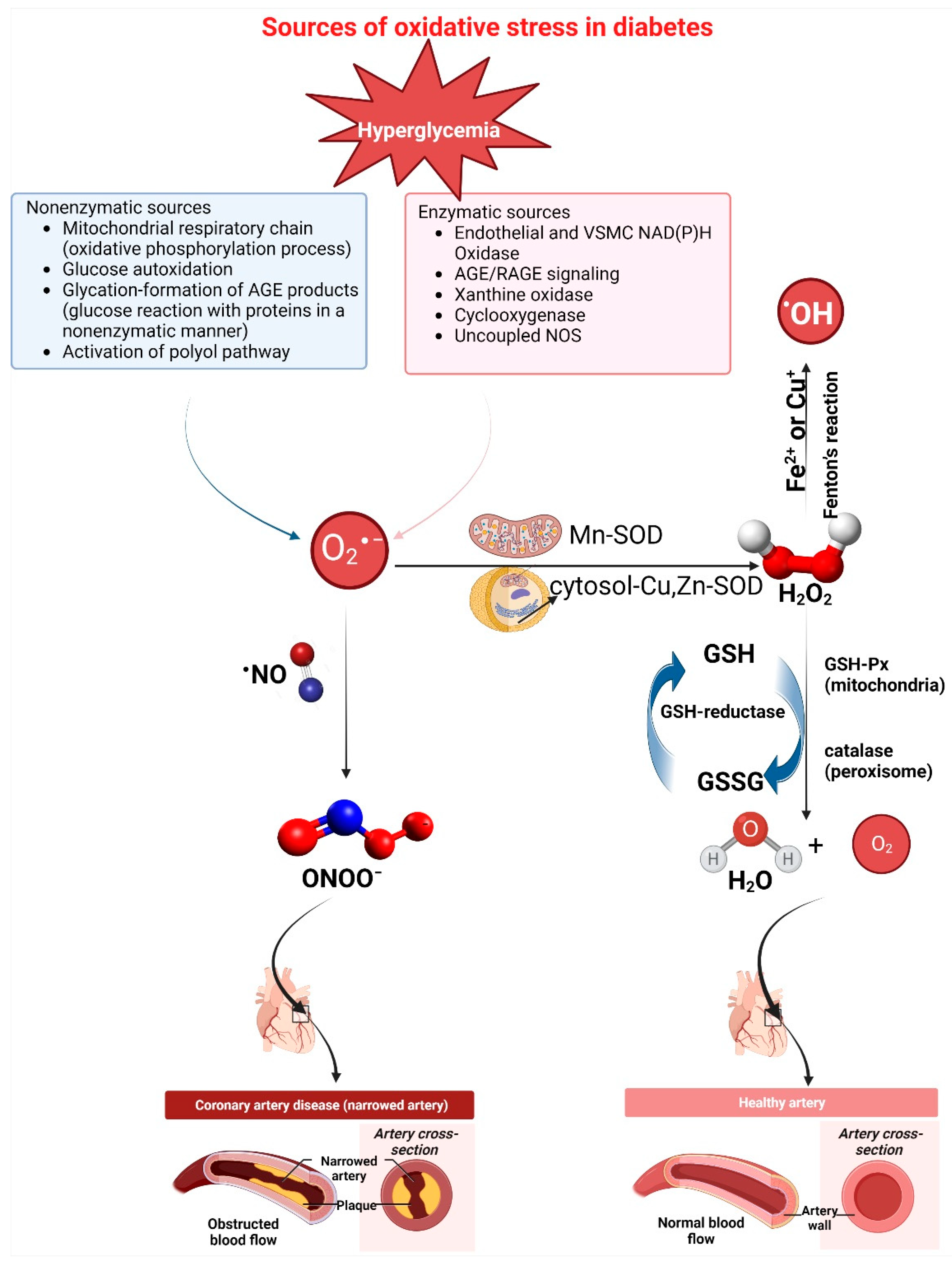 Cells 12 00583 g006 Cells 12 00583 g006