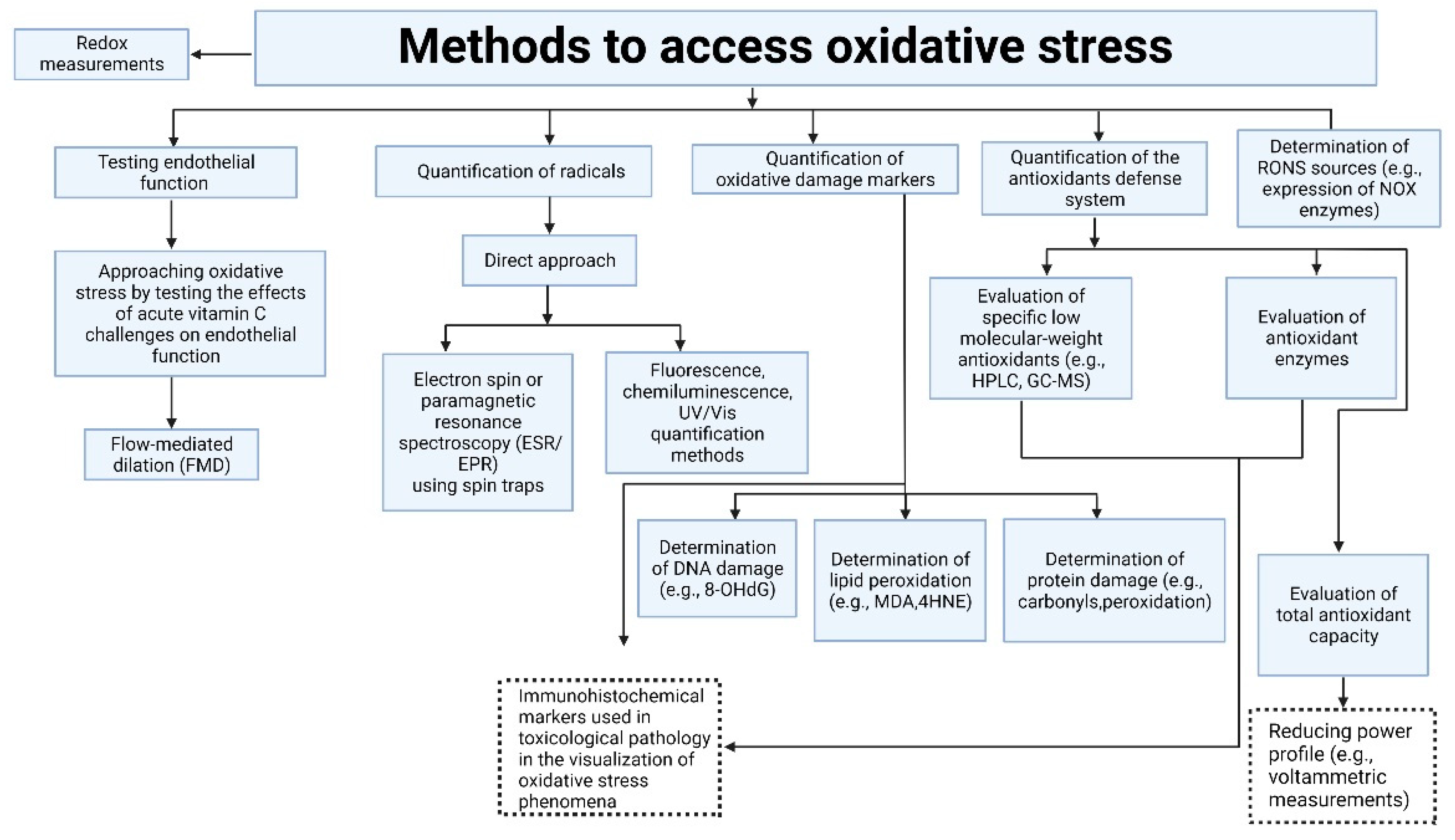 Cells 12 00583 g008 Cells 12 00583 g008