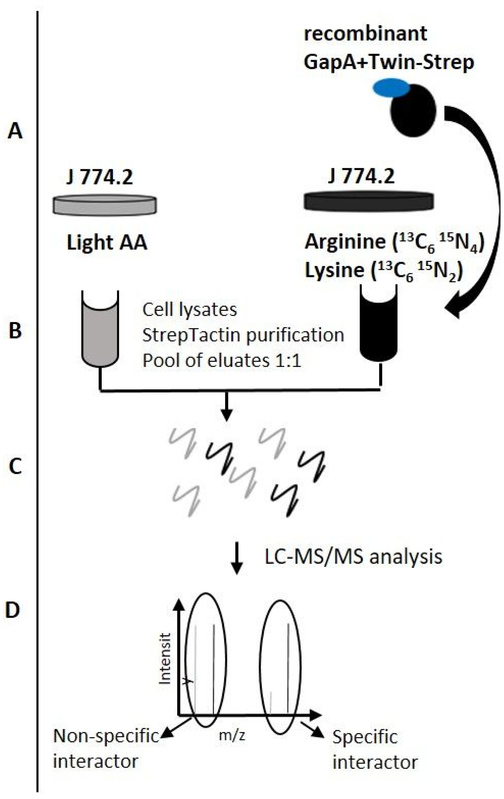 Cells 12 00607 g004 Cells 12 00607 g004