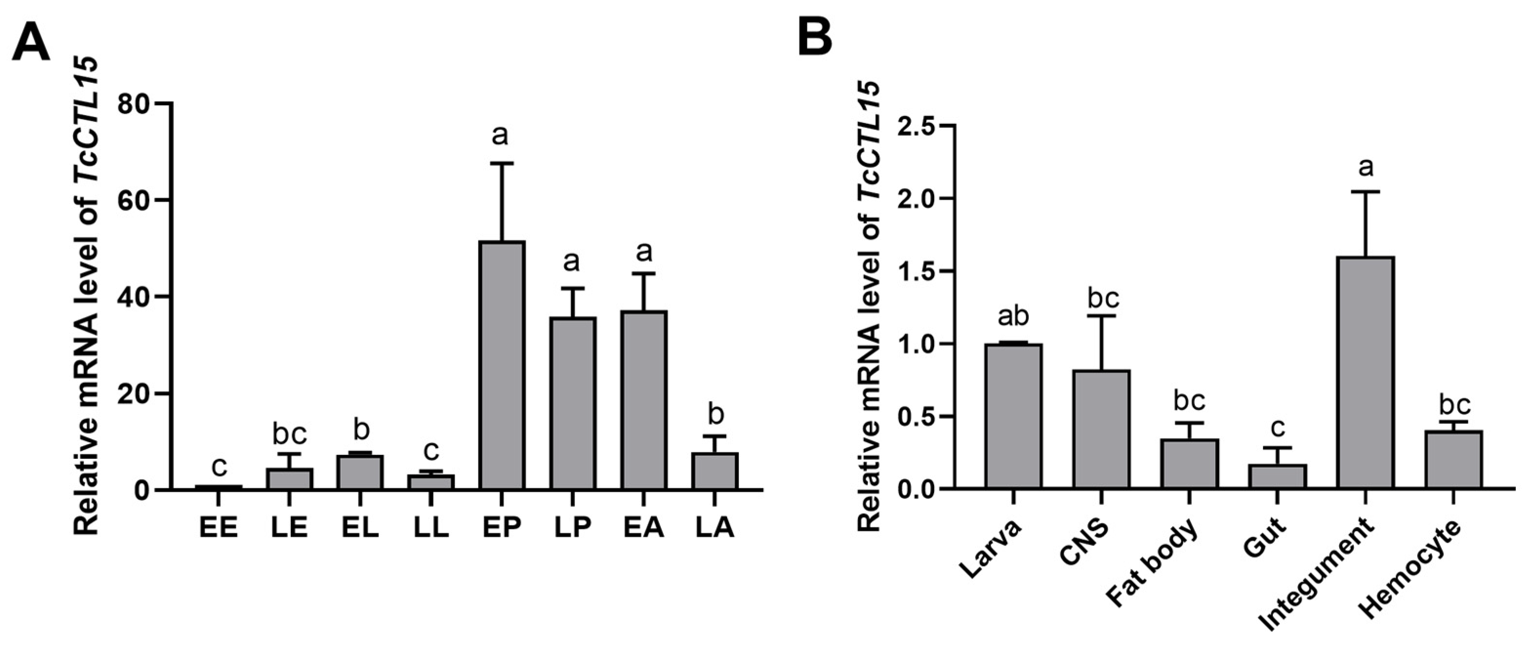 Cells 12 00608 g001 Cells 12 00608 g001