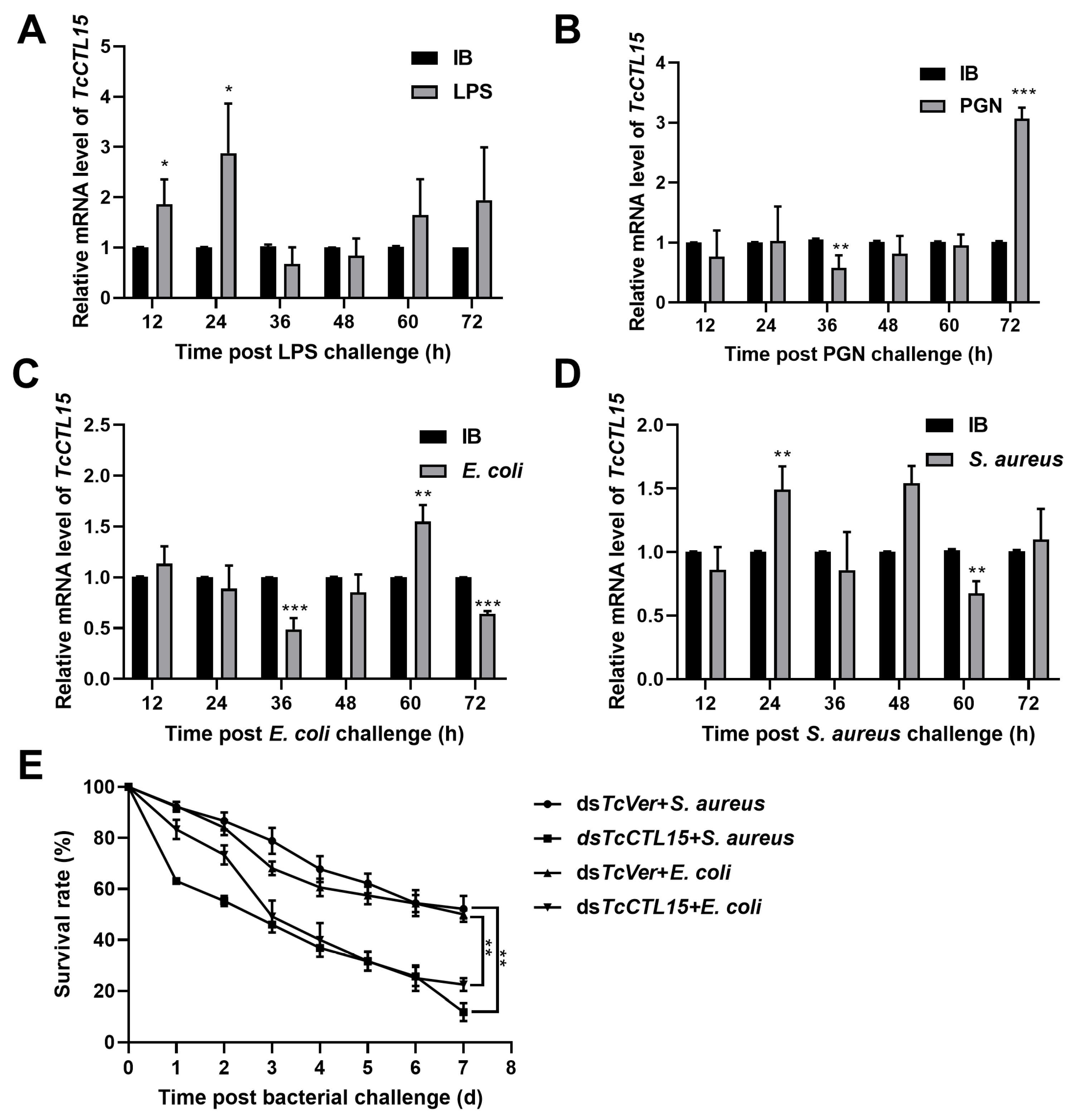 Cells 12 00608 g002 Cells 12 00608 g002