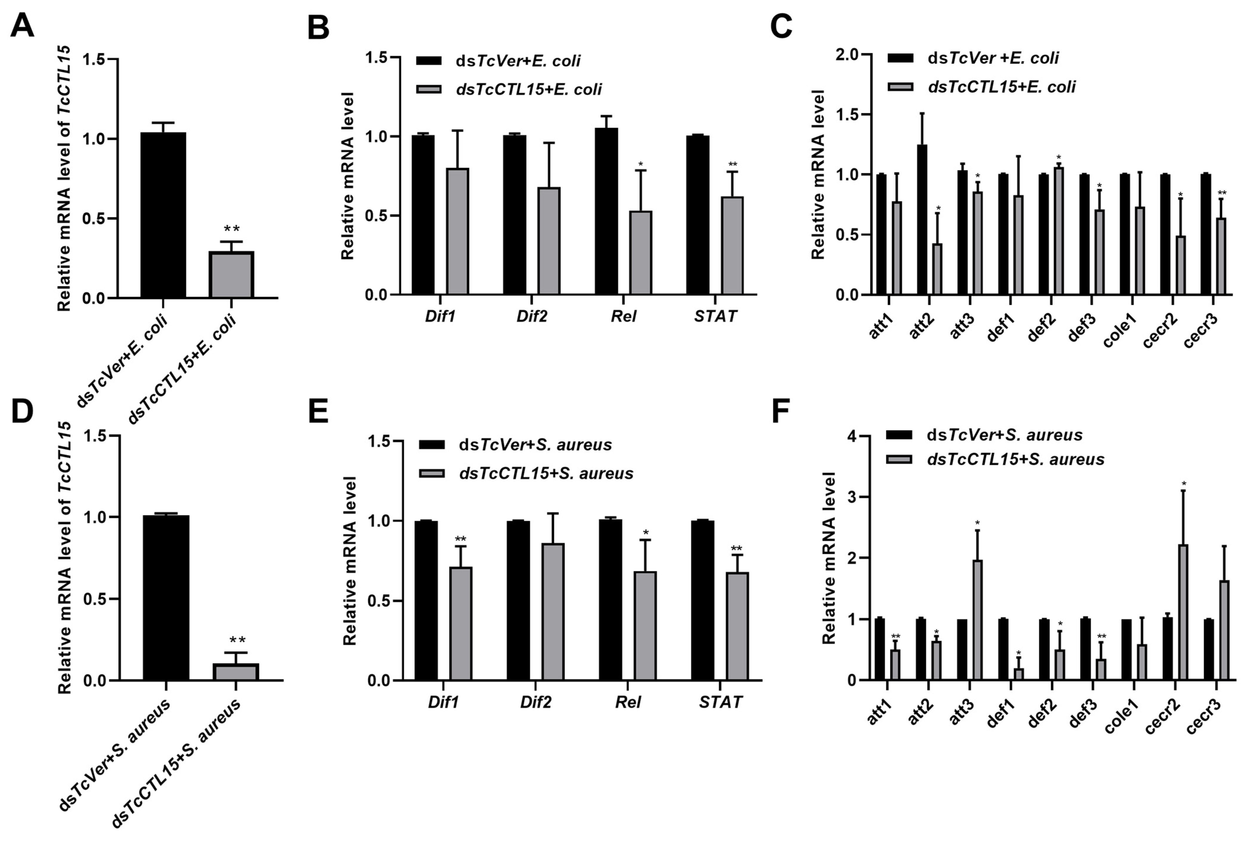 Cells 12 00608 g005 Cells 12 00608 g005