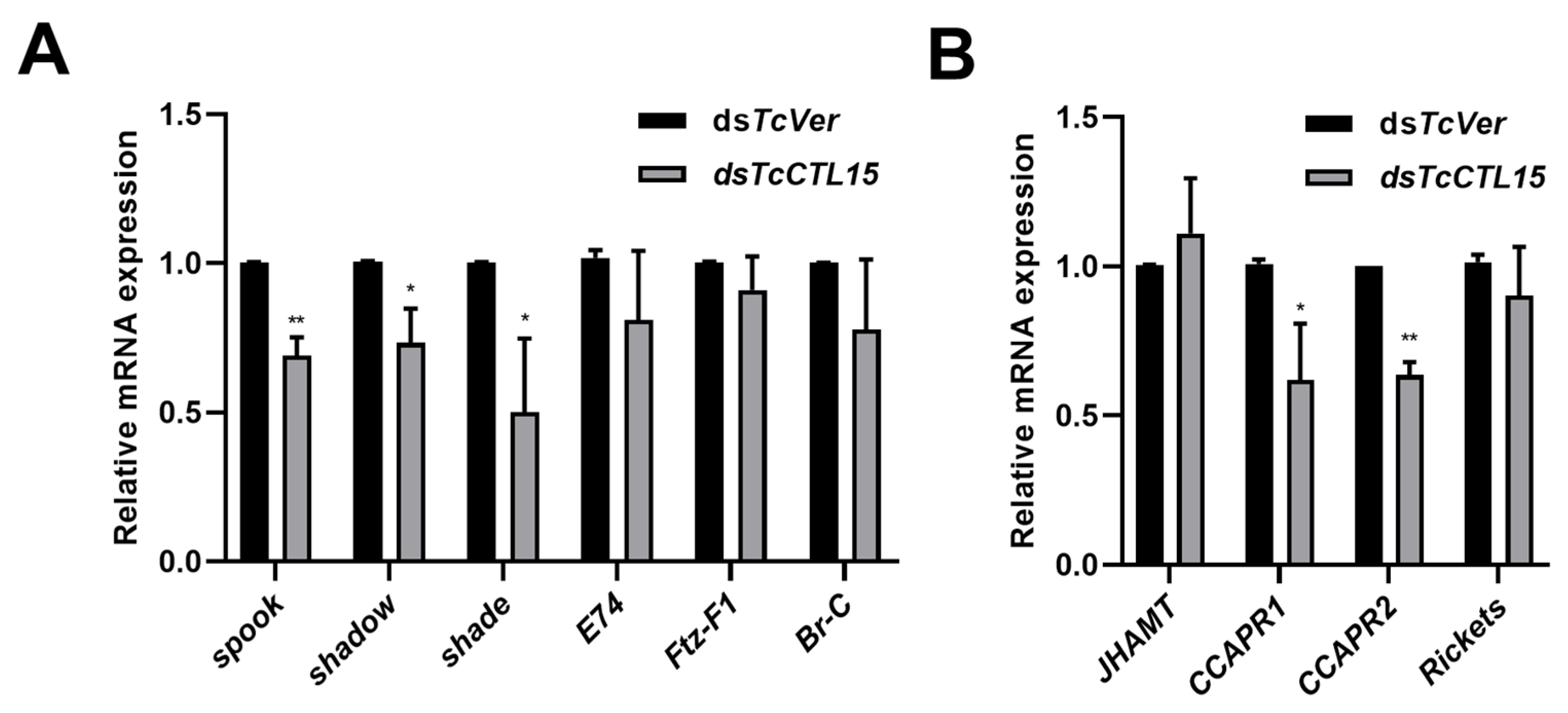 Cells 12 00608 g007 Cells 12 00608 g007