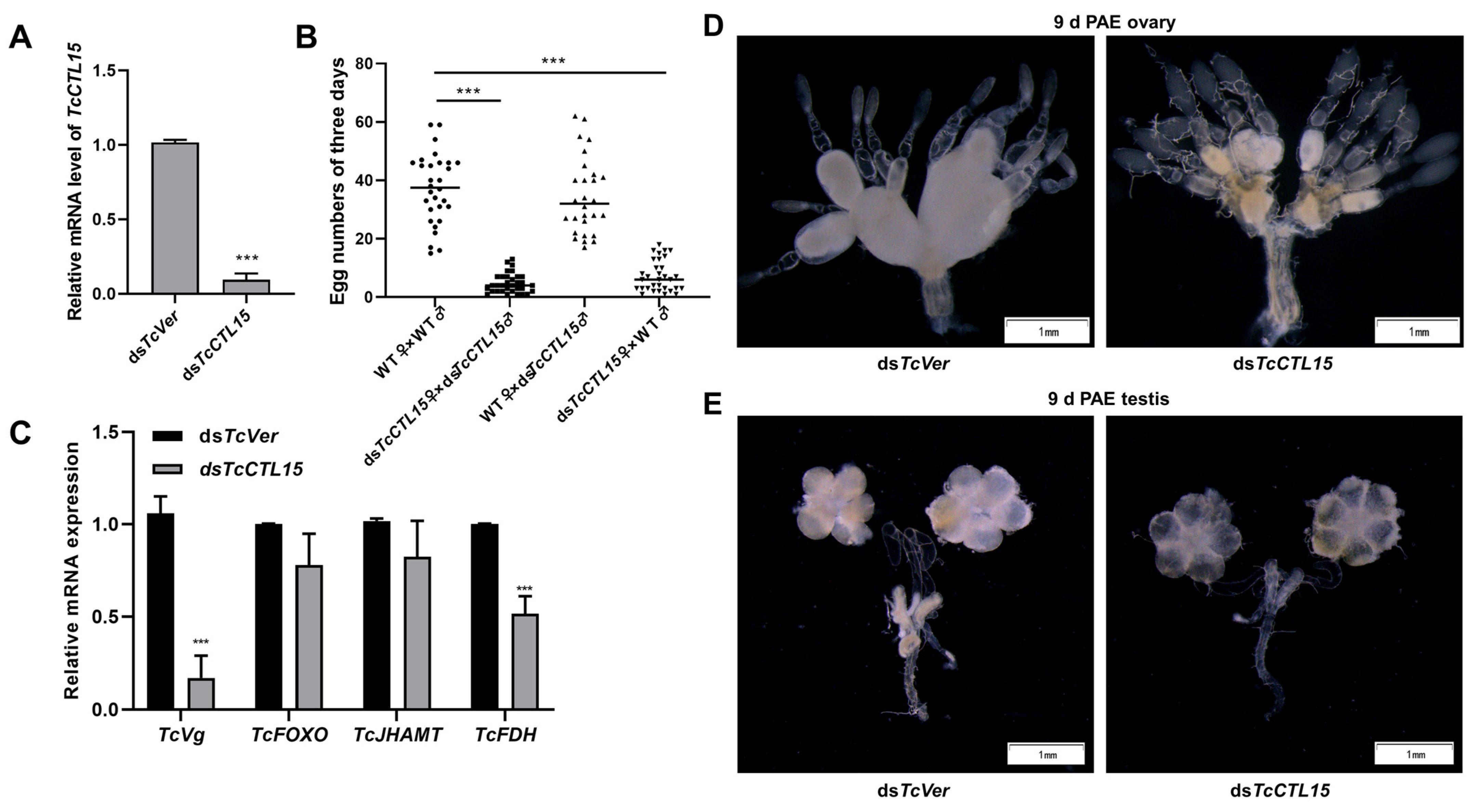 Cells 12 00608 g008 Cells 12 00608 g008