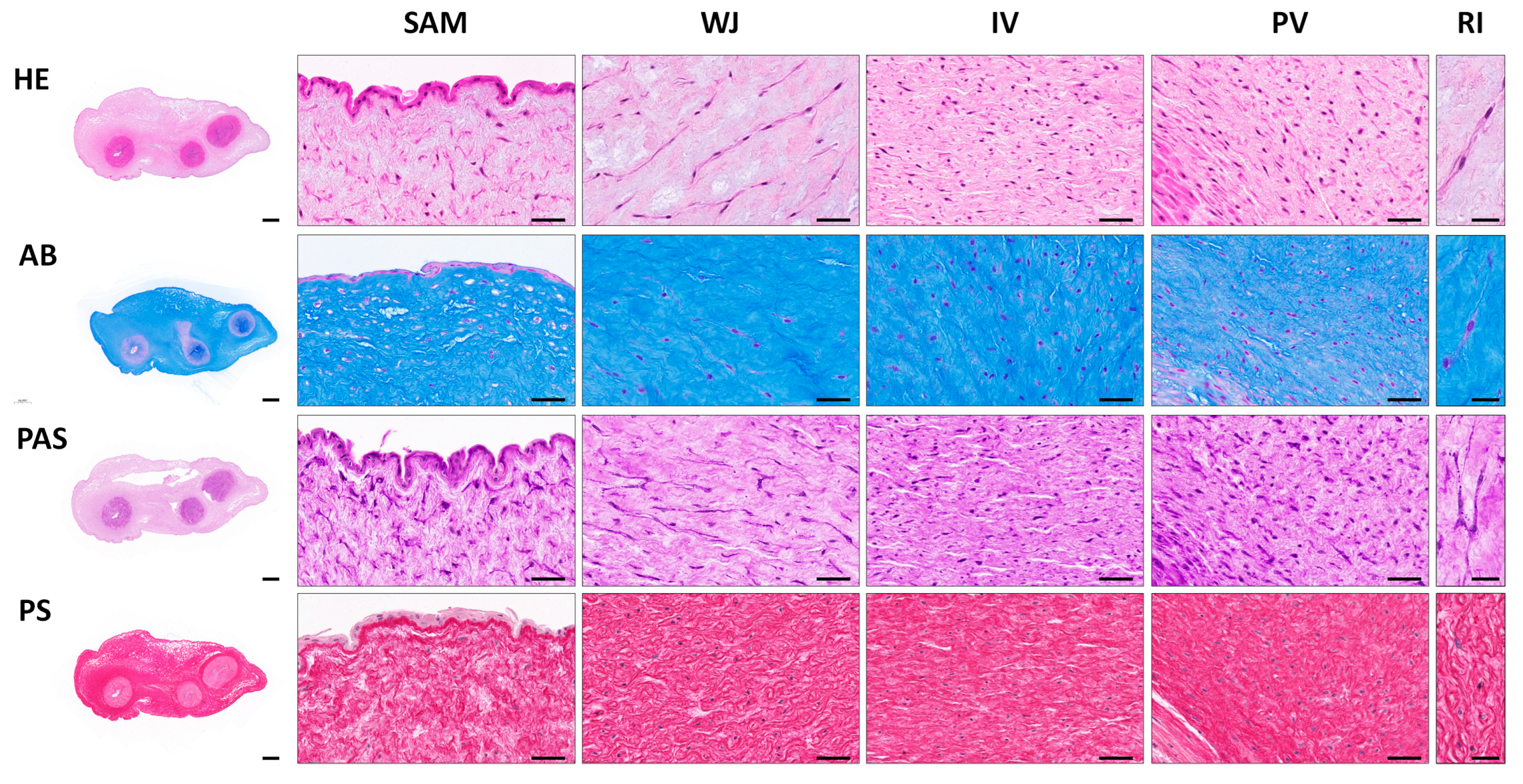 Cells 12 00629 g002