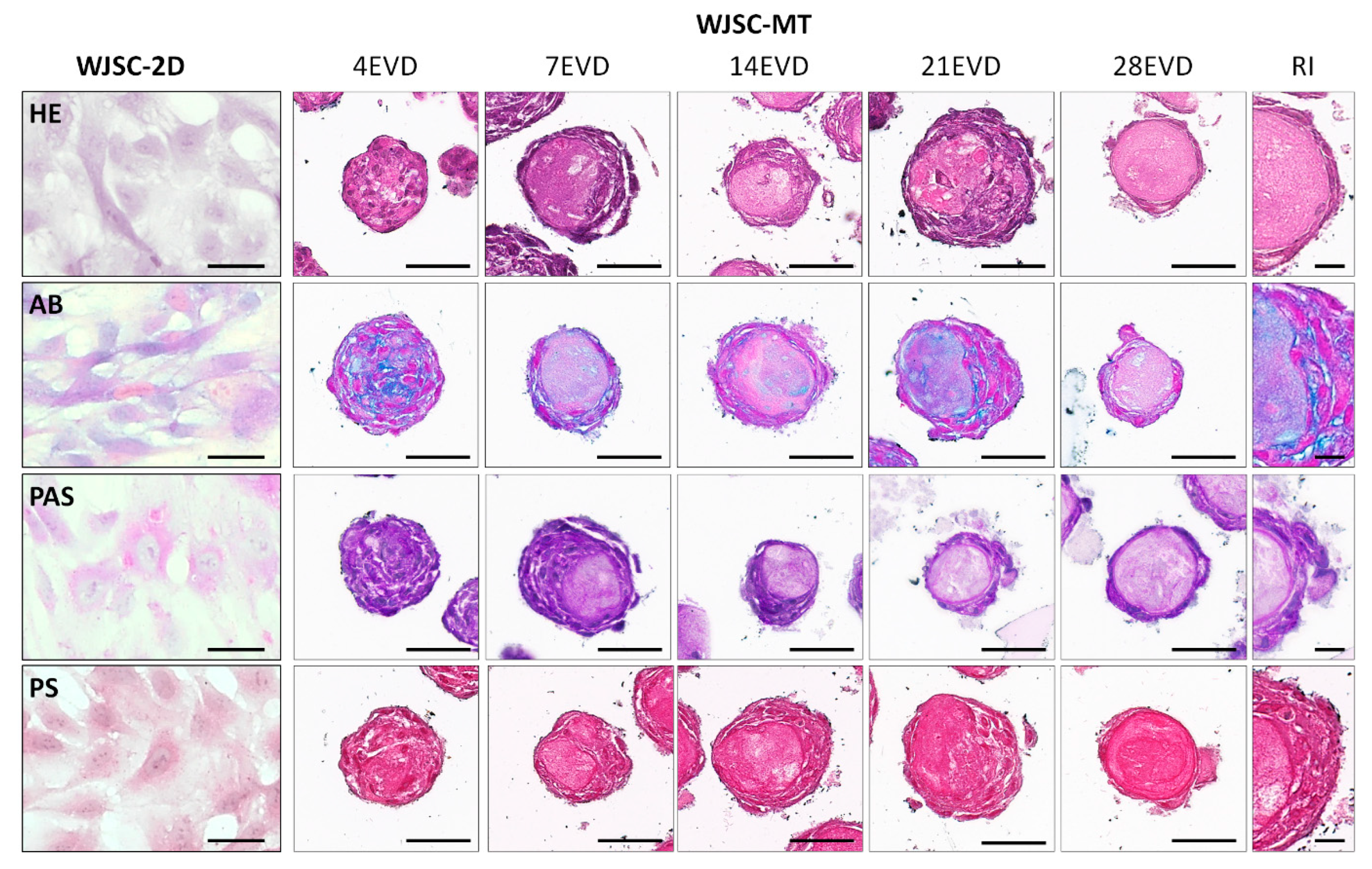 Cells 12 00629 g005
