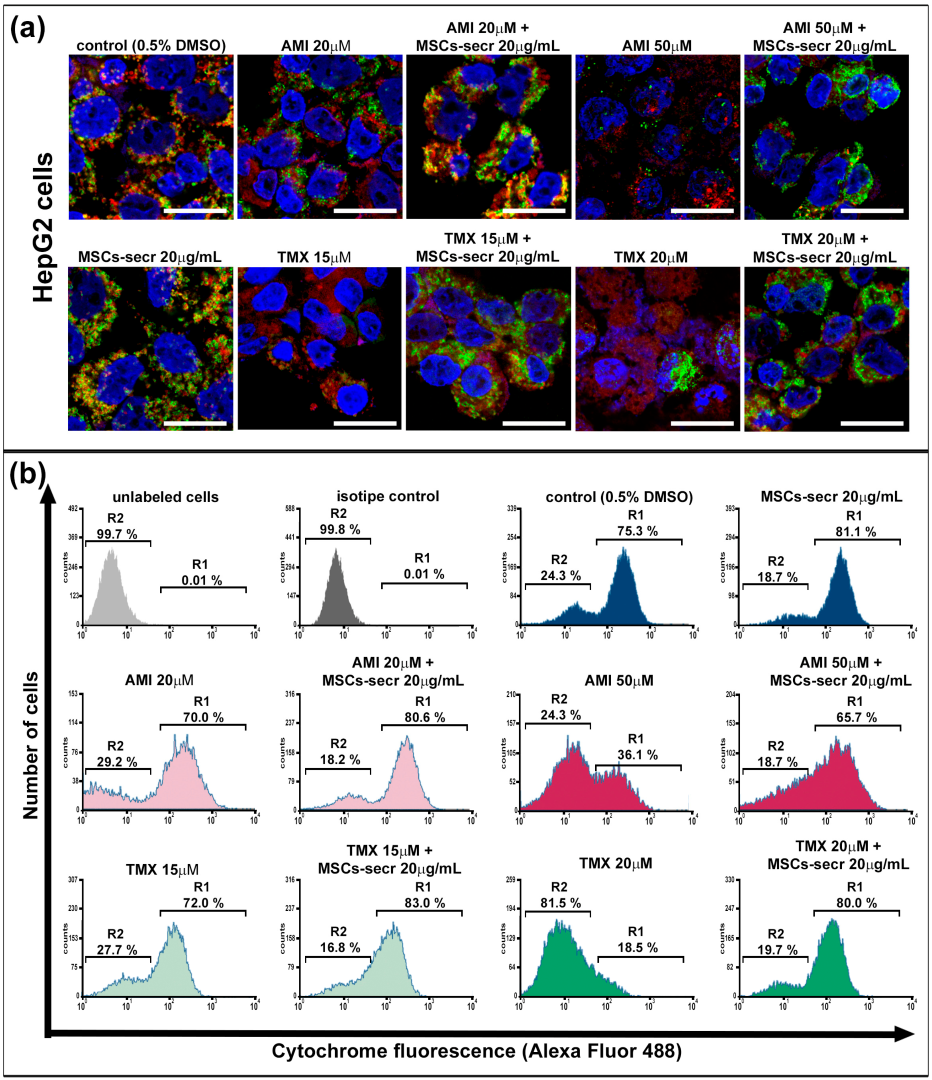 Cells 12 00636 g003a Cells 12 00636 g003a