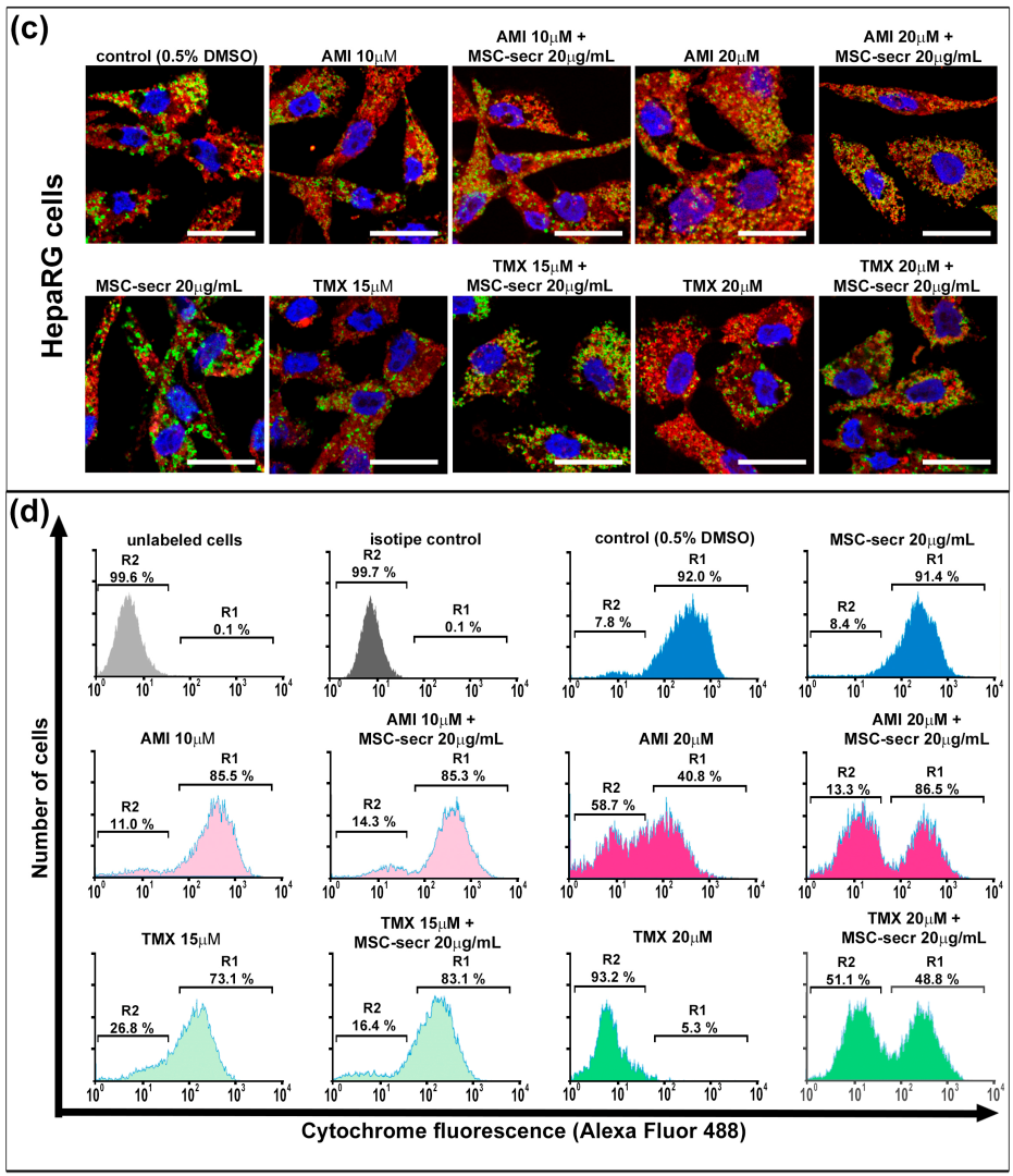 Cells 12 00636 g003b Cells 12 00636 g003b