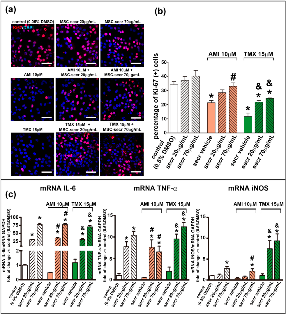 Cells 12 00636 g006 Cells 12 00636 g006