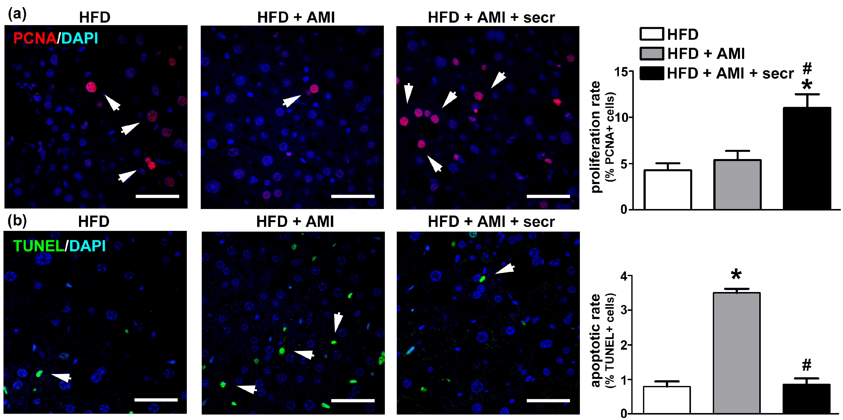 Cells 12 00636 g008 Cells 12 00636 g008