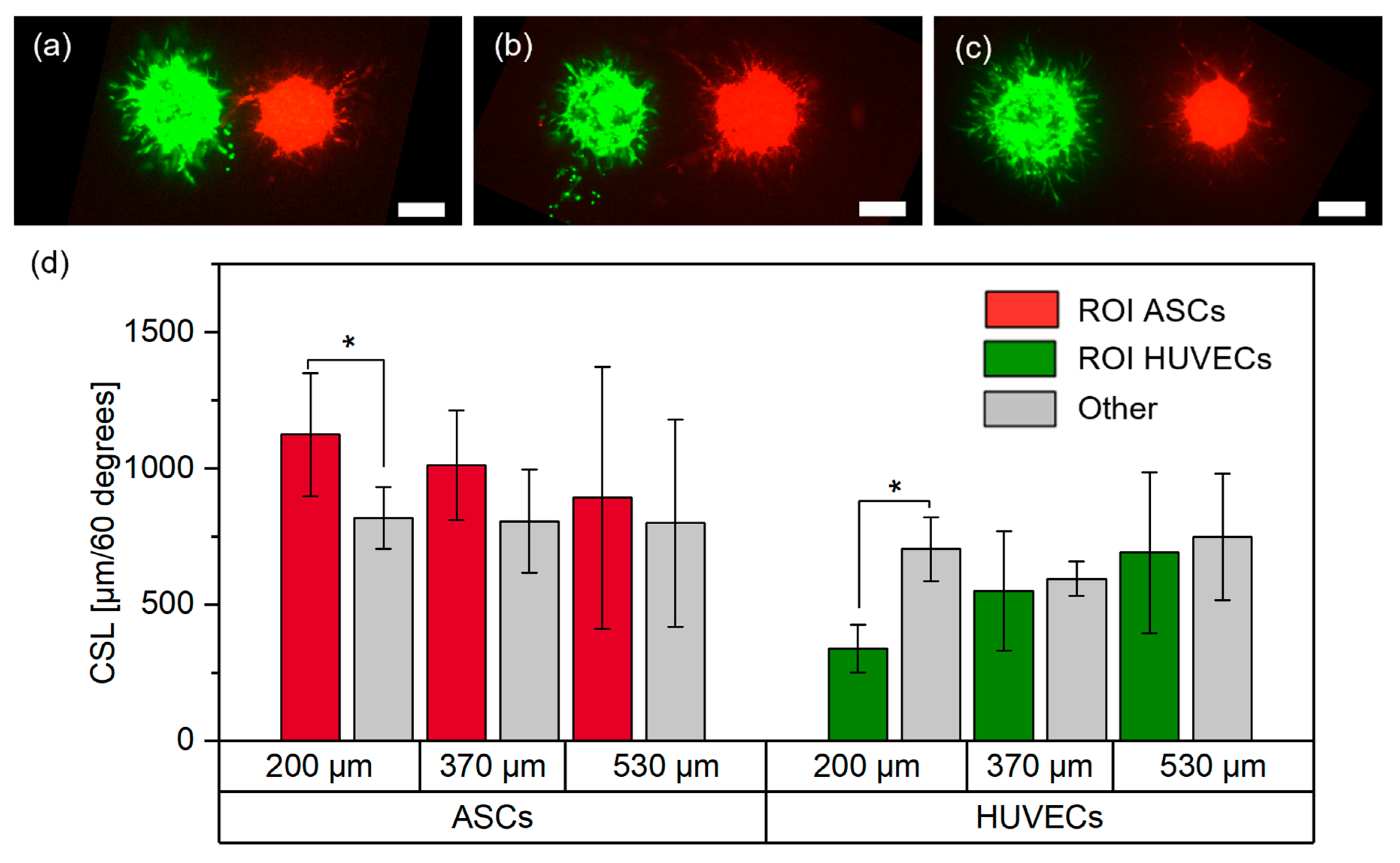 Cells 12 00646 g005
